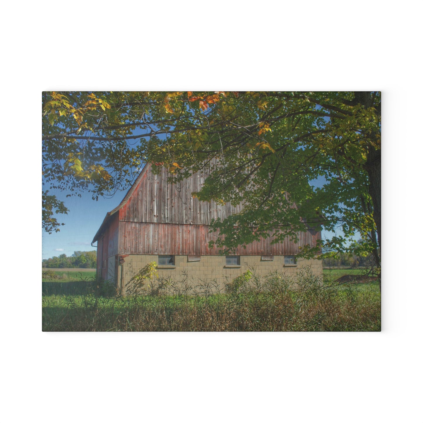 U R There Photography Byington Road Red I Rustic Farmhouse Tempered-Glass Cutting Board