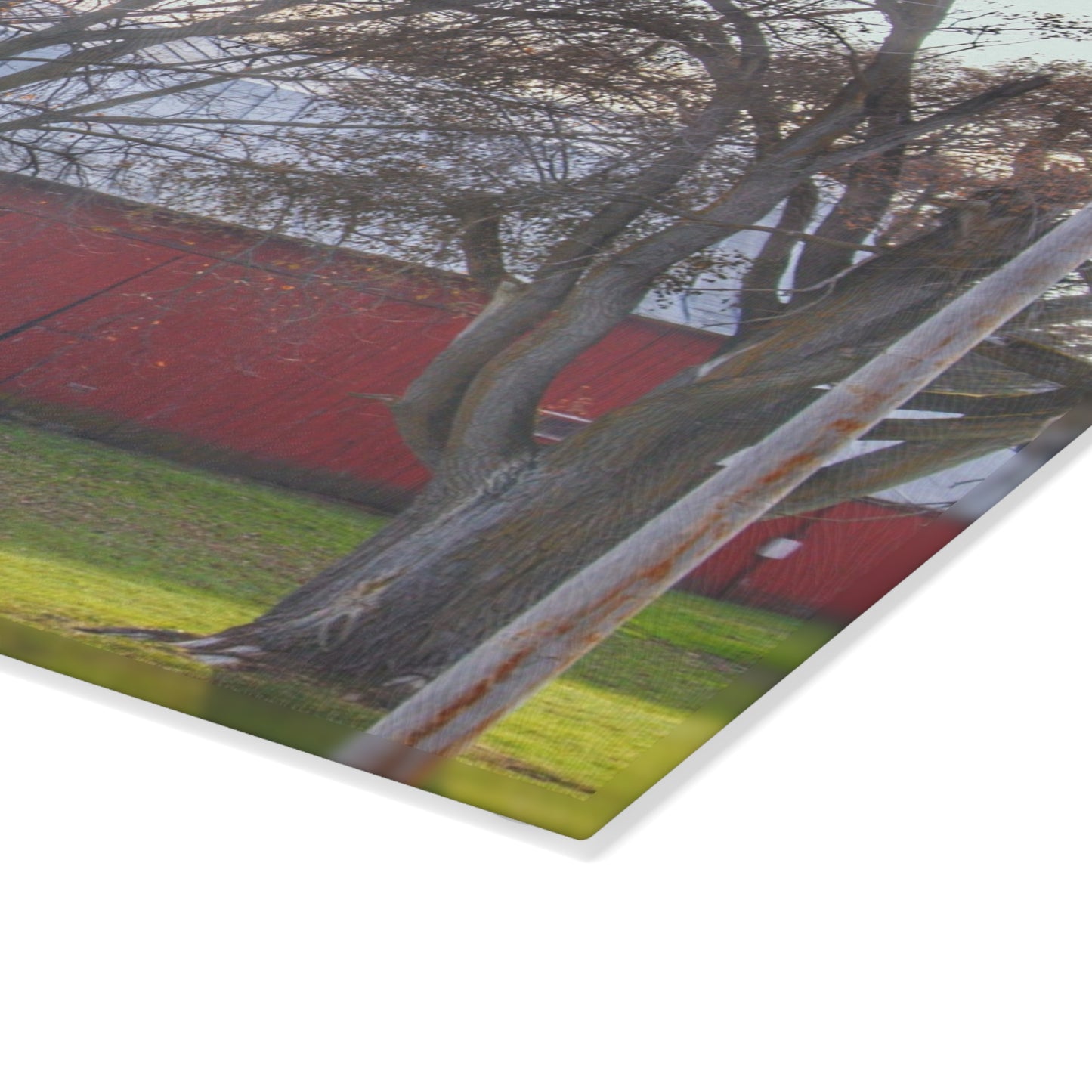 U R There Photography Vienna Road Hidden Red Rustic Farmhouse Tempered-Glass Cutting Board
