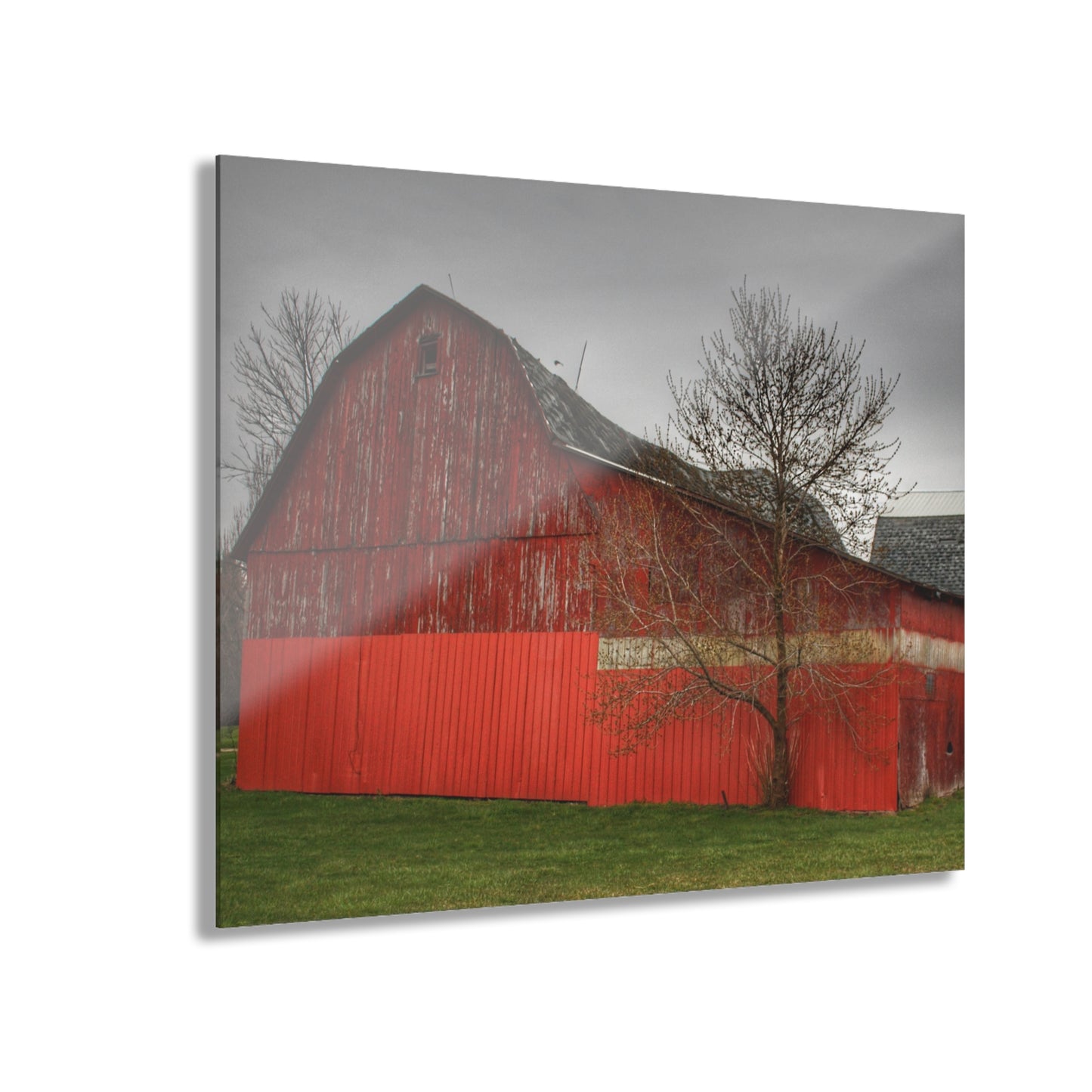 U R There Photography Almont Reds Rustic Farmhouse Acrylic Wall Print