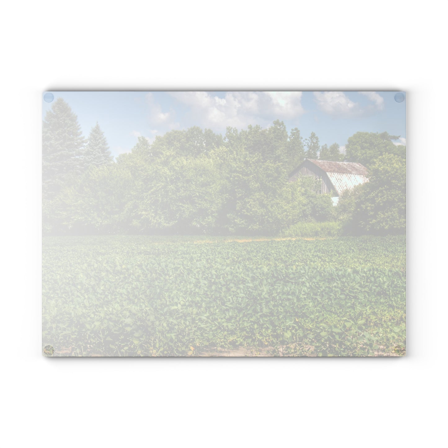 U R There Photography Canada Road Hidden Rustic Farmhouse Tempered-Glass Cutting Board