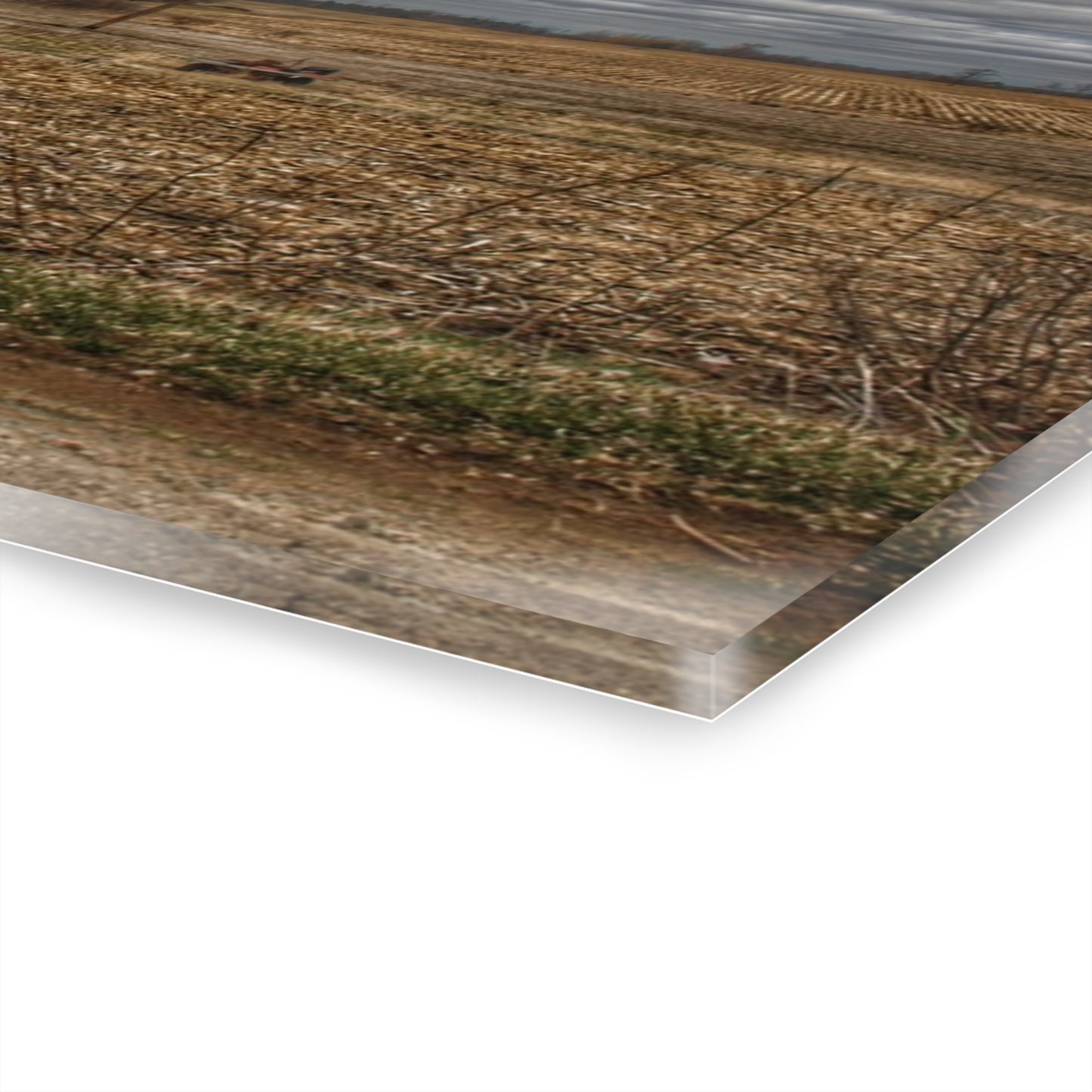 U R There Photography Barnes Road Little Red III Rustic Farmhouse Acrylic Wall Print