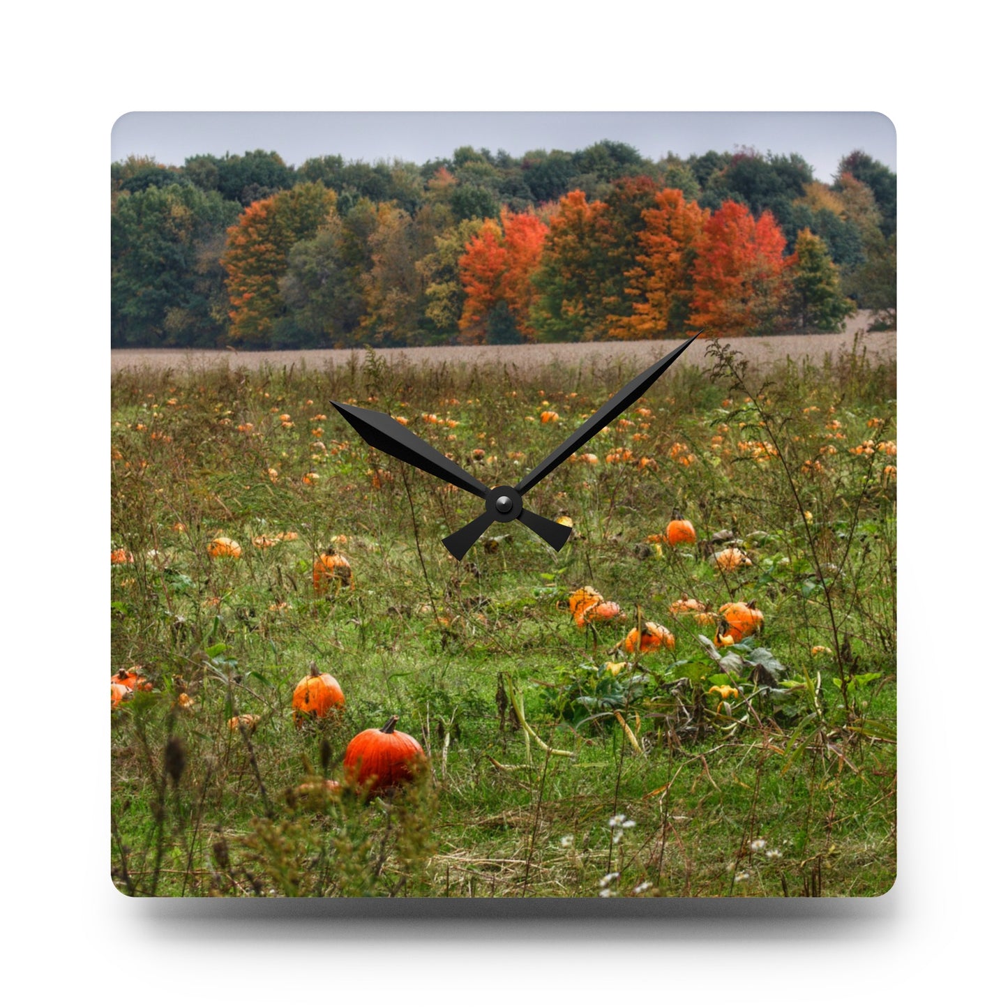 Rustic Farmhouse Wall Clock featuring Once Upon a Pumpkin Patch