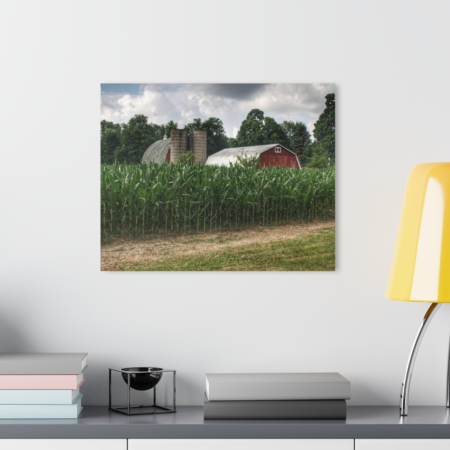 U R There Photography Scotch Settlement Reds Rustic Farmhouse Acrylic Wall Print