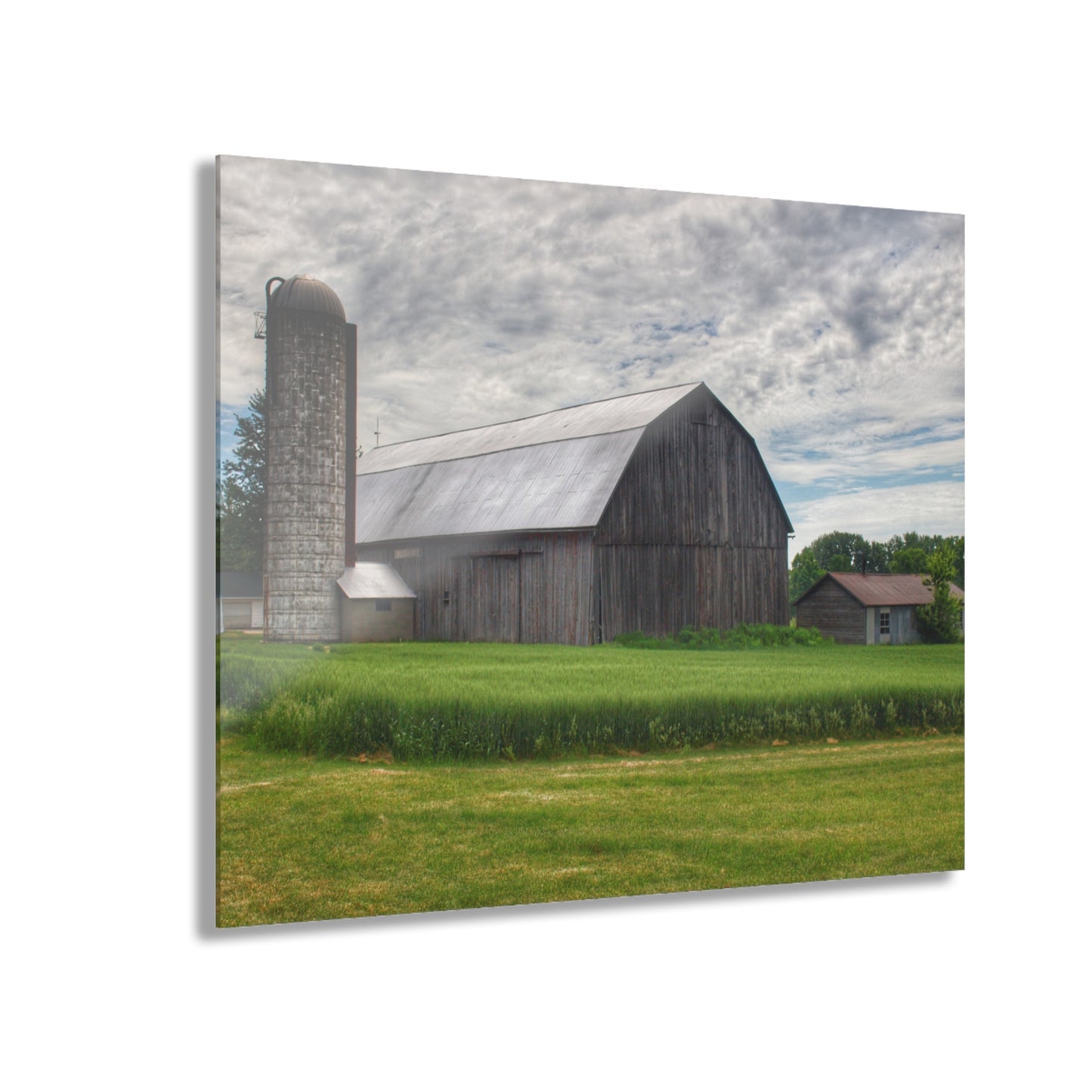 U R There Photography West Tuscola Road Grey Rustic Farmhouse Acrylic Wall Print