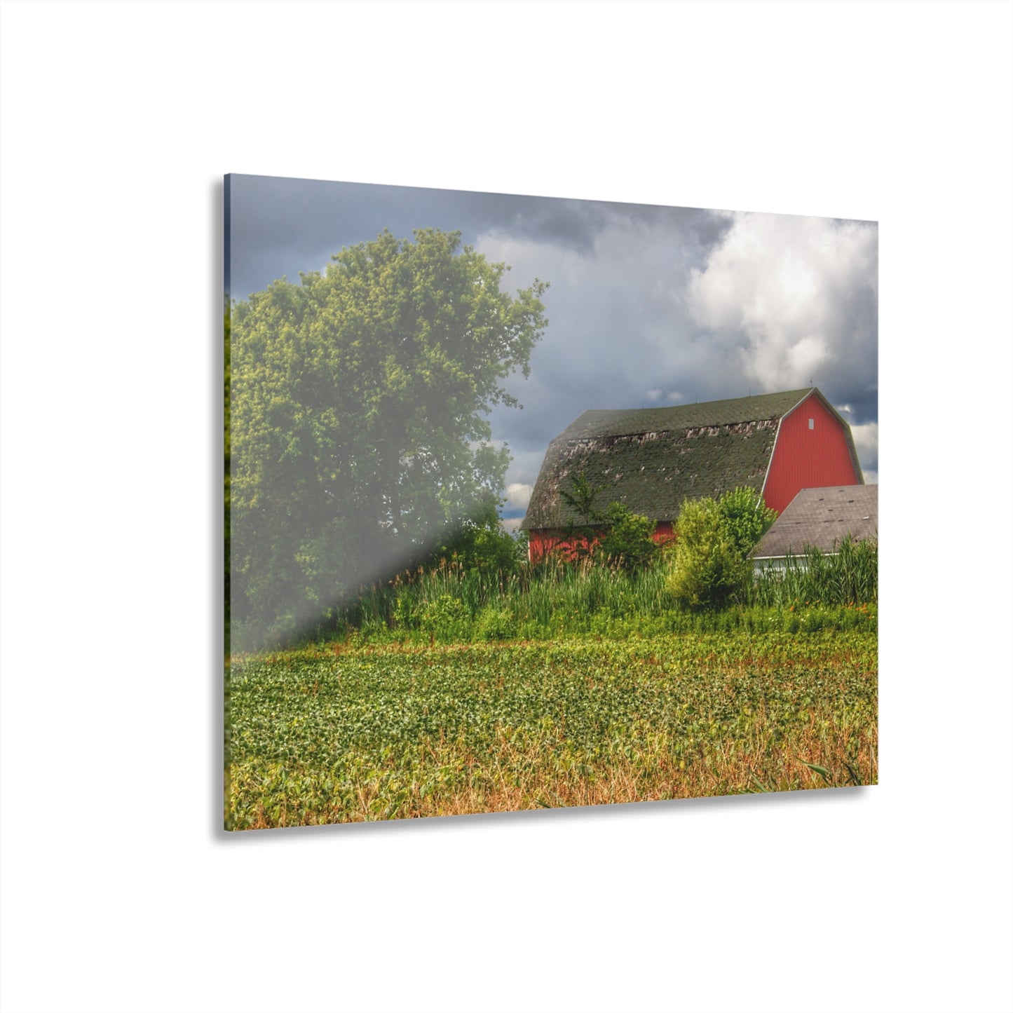 U R There Photography Shelby Red IV Rustic Farmhouse Acrylic Wall Print