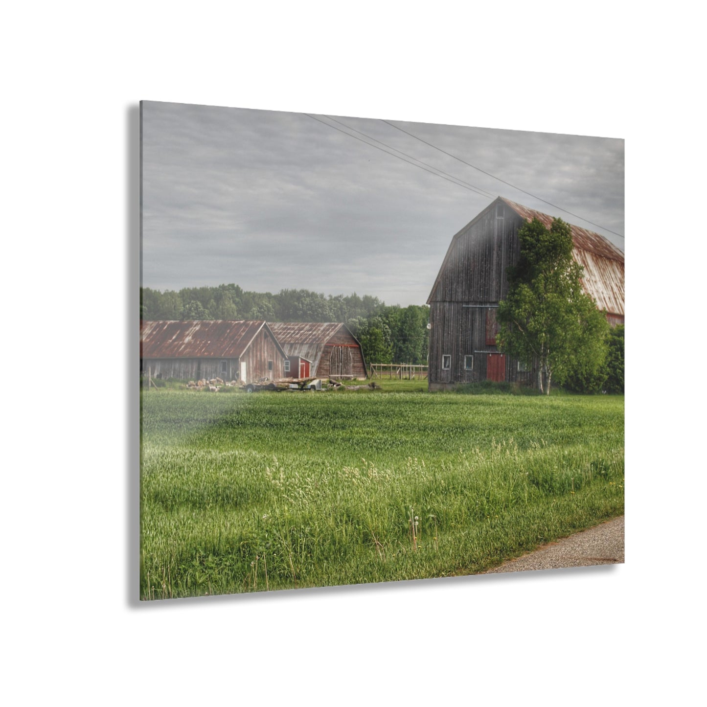 U R There Photography Barkley Road Trio Rustic Farmhouse Acrylic Wall Print