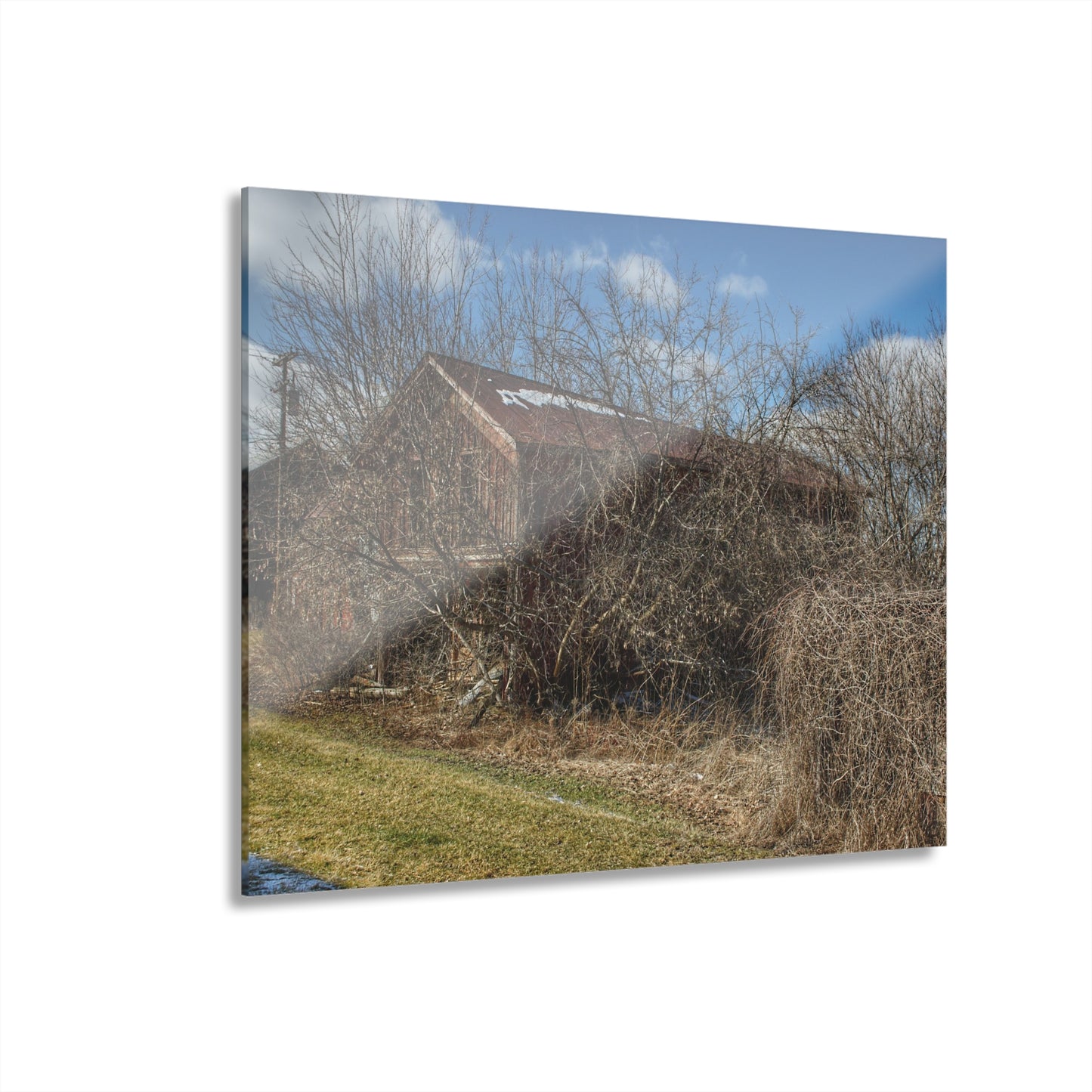 U R There Photography Buried Burnside Greys I Rustic Farmhouse Acrylic Wall Print