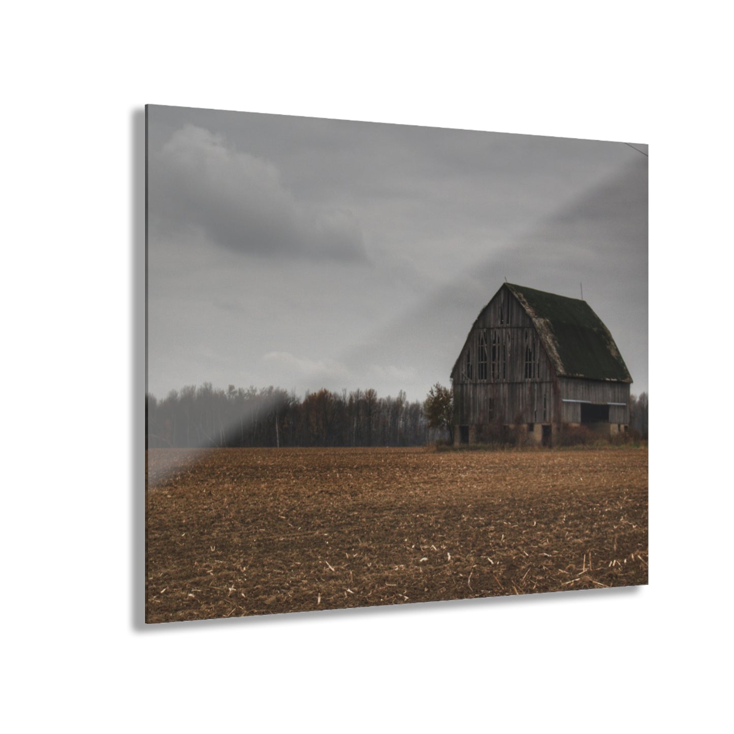 U R There Photography Stone Road Old Grey I Rustic Farmhouse Acrylic Wall Print
