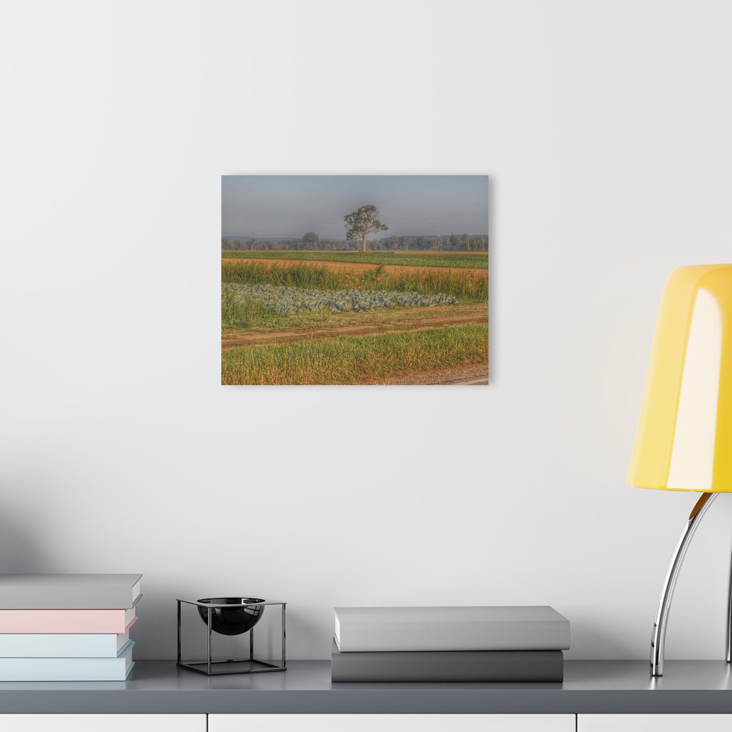 U R There Photography Cabbage and Pumpkin Patch Rustic Farmhouse Acrylic Wall Print