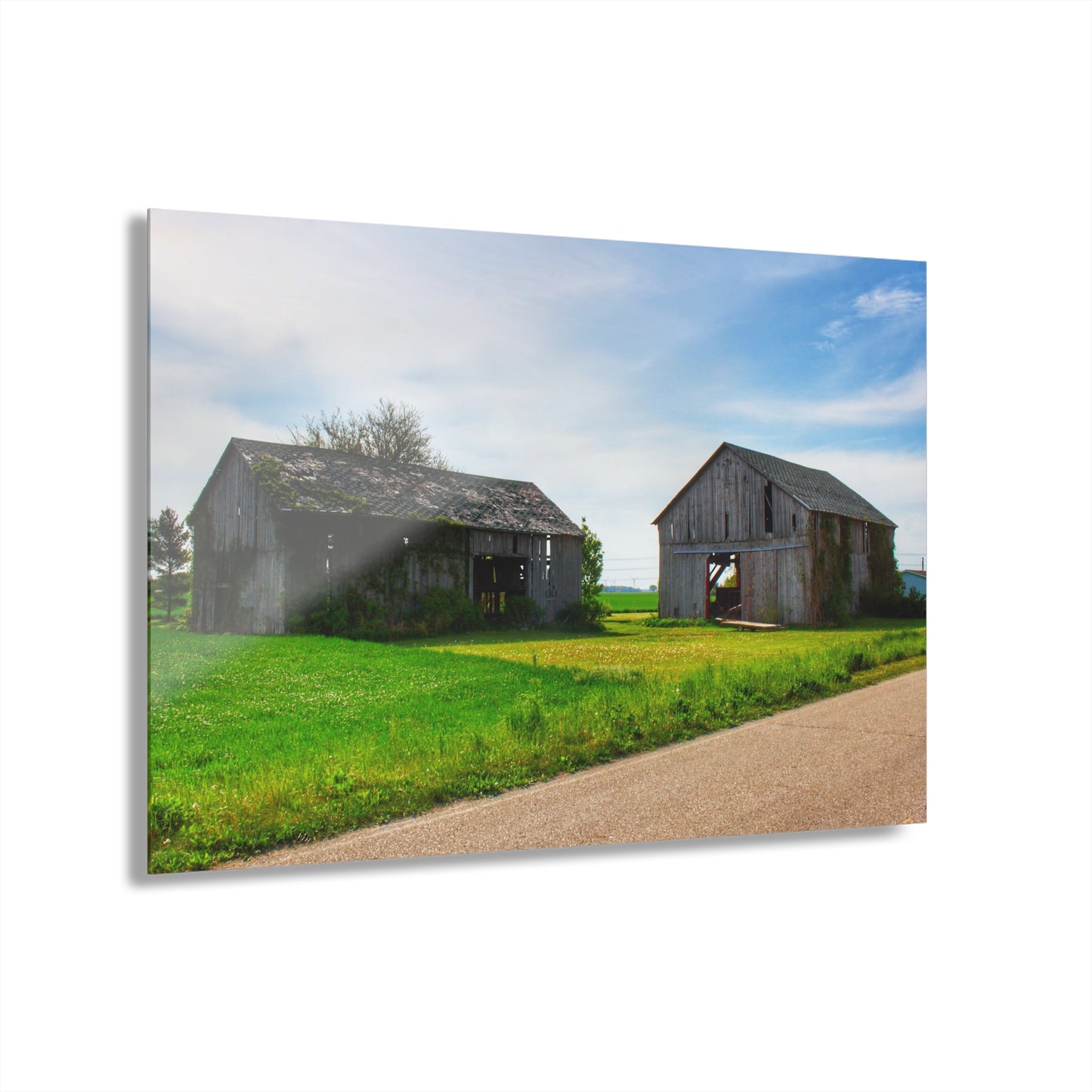 U R There Photography Caro Road Twin Greys I Rustic Farmhouse Acrylic Wall Print
