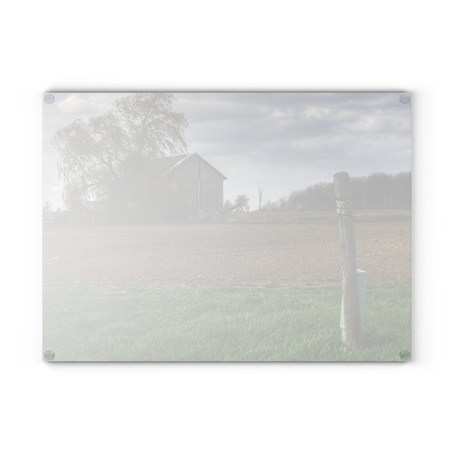 U R There Photography Cedar Creek Road Grey Rustic Farmhouse Tempered-Glass Cutting Board