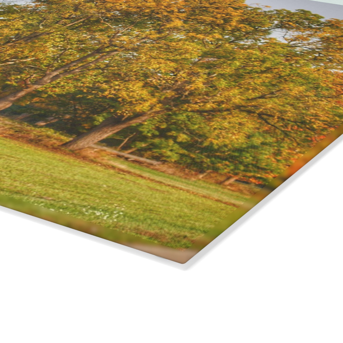 U R There Photography Barkley Road Red II Rustic Farmhouse Tempered-Glass Cutting Board