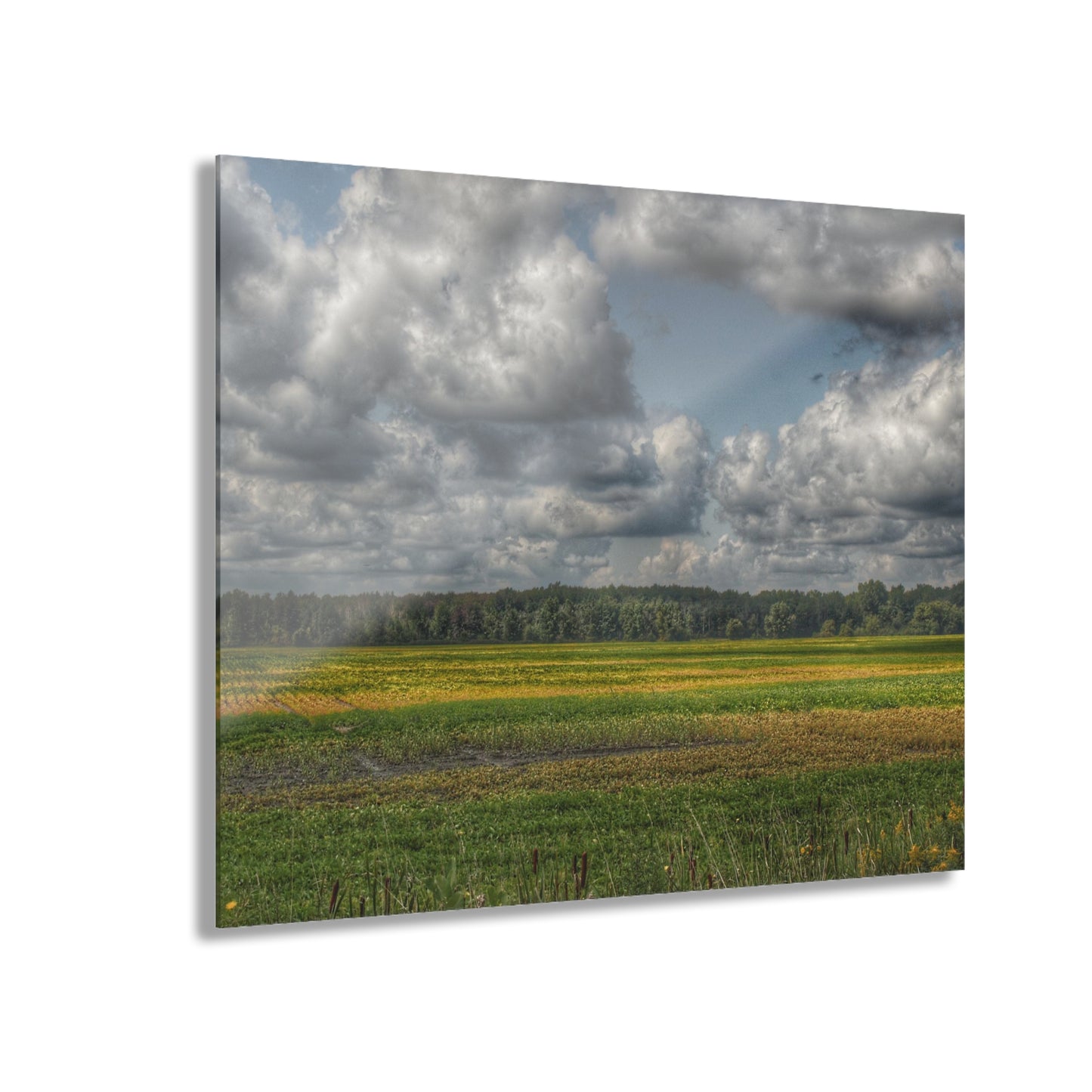 U R There Photography Skies of September Rustic Farmhouse Acrylic Wall Print
