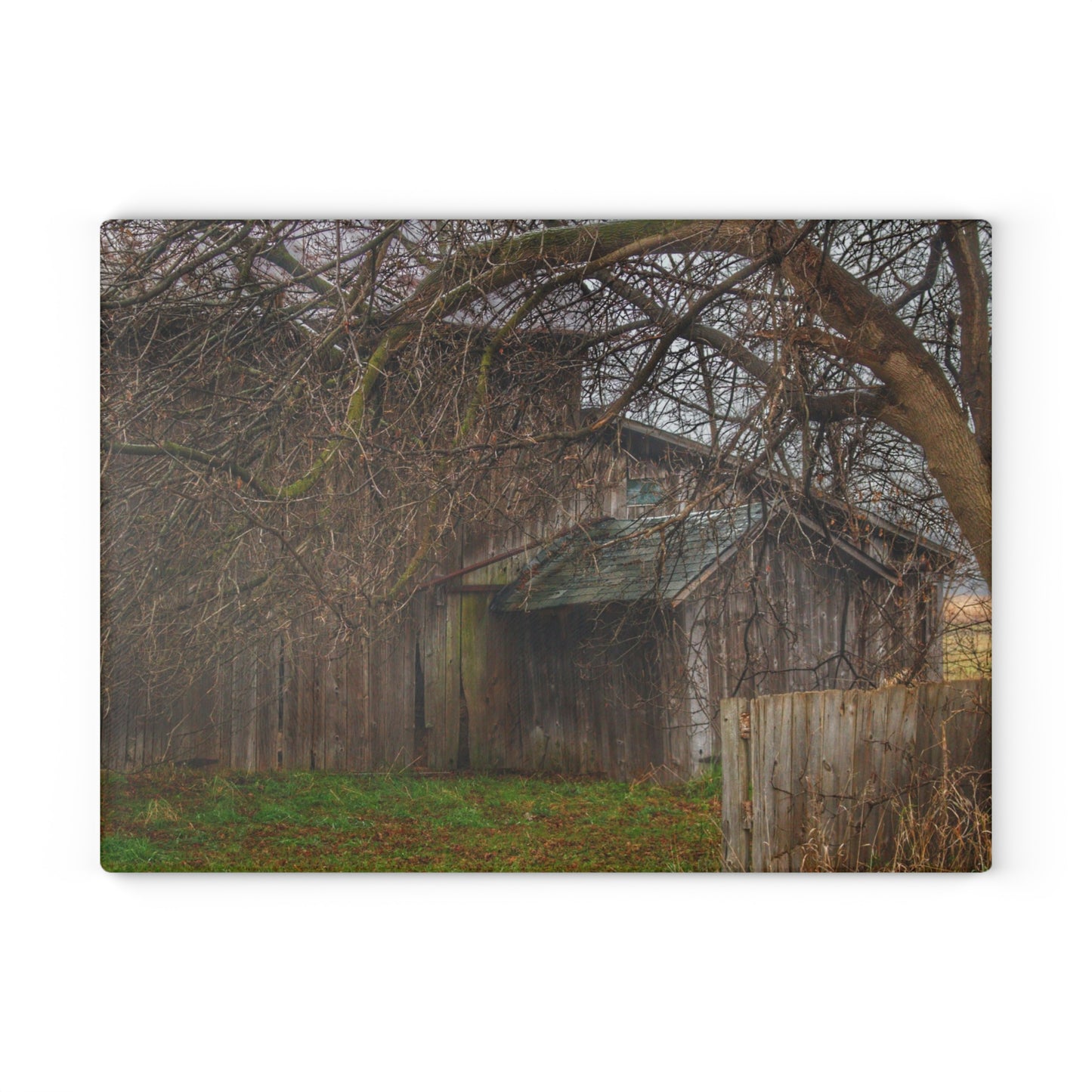 U R There Photography Bowers Road Greys III Rustic Farmhouse Tempered-Glass Cutting Board