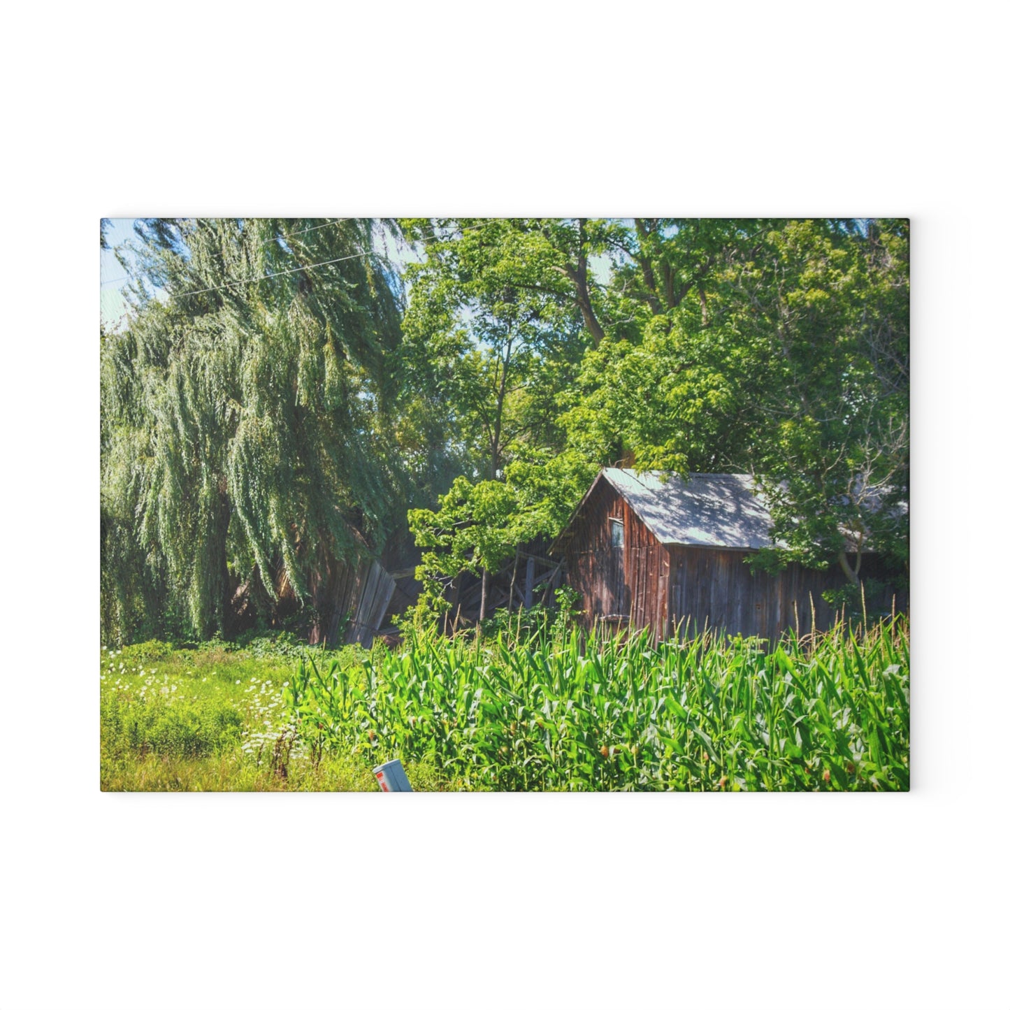 U R There Photography Roadside Ruin Rustic Farmhouse Tempered-Glass Cutting Board