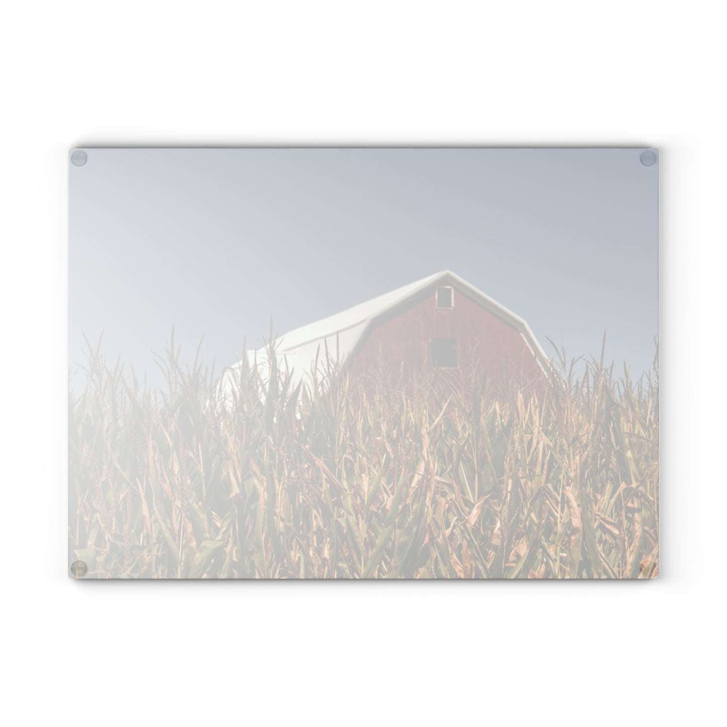U R There Photography Beyond the Corn Rustic Farmhouse Tempered-Glass Cutting Board