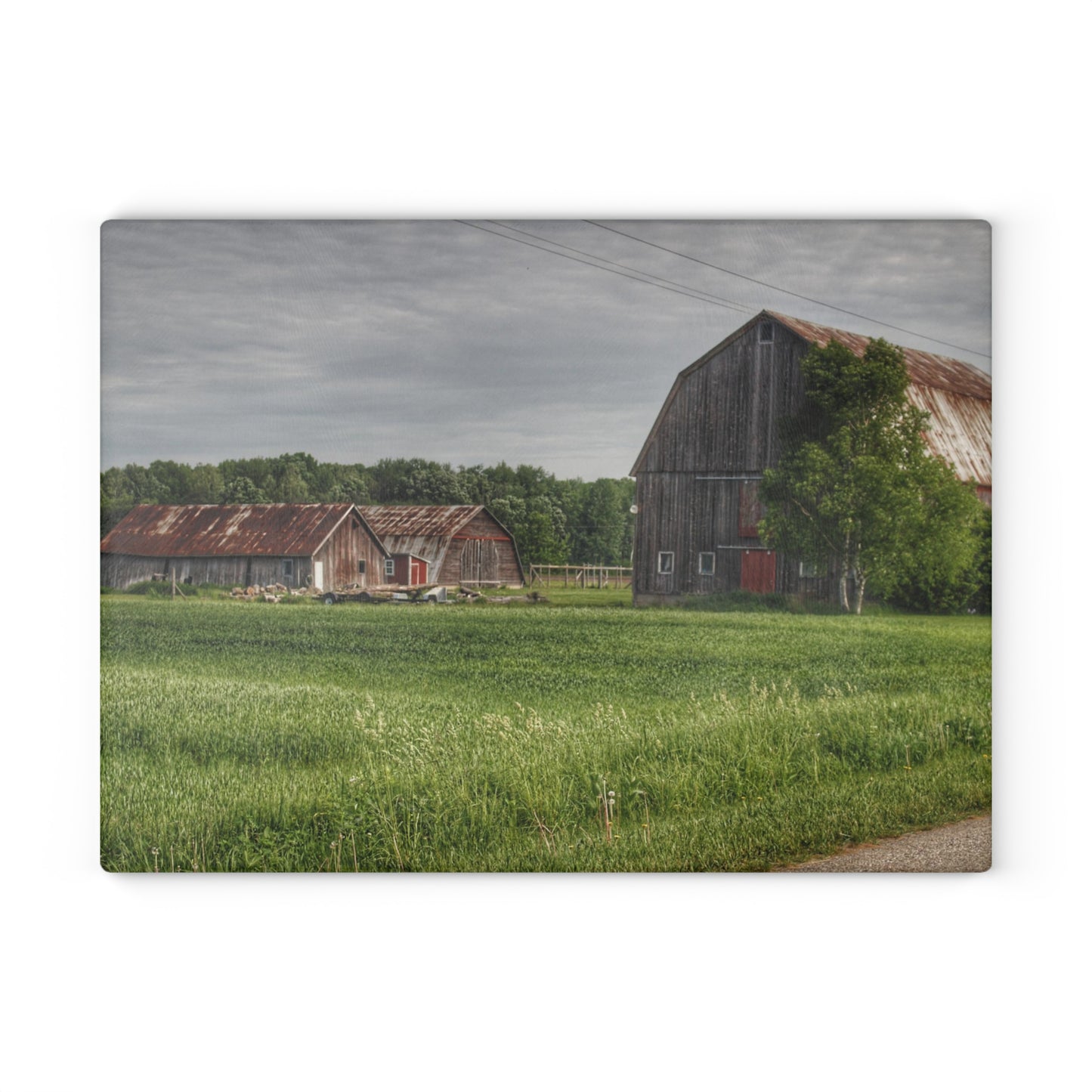 U R There Photography Barkley Road Trio Rustic Farmhouse Tempered-Glass Cutting Board