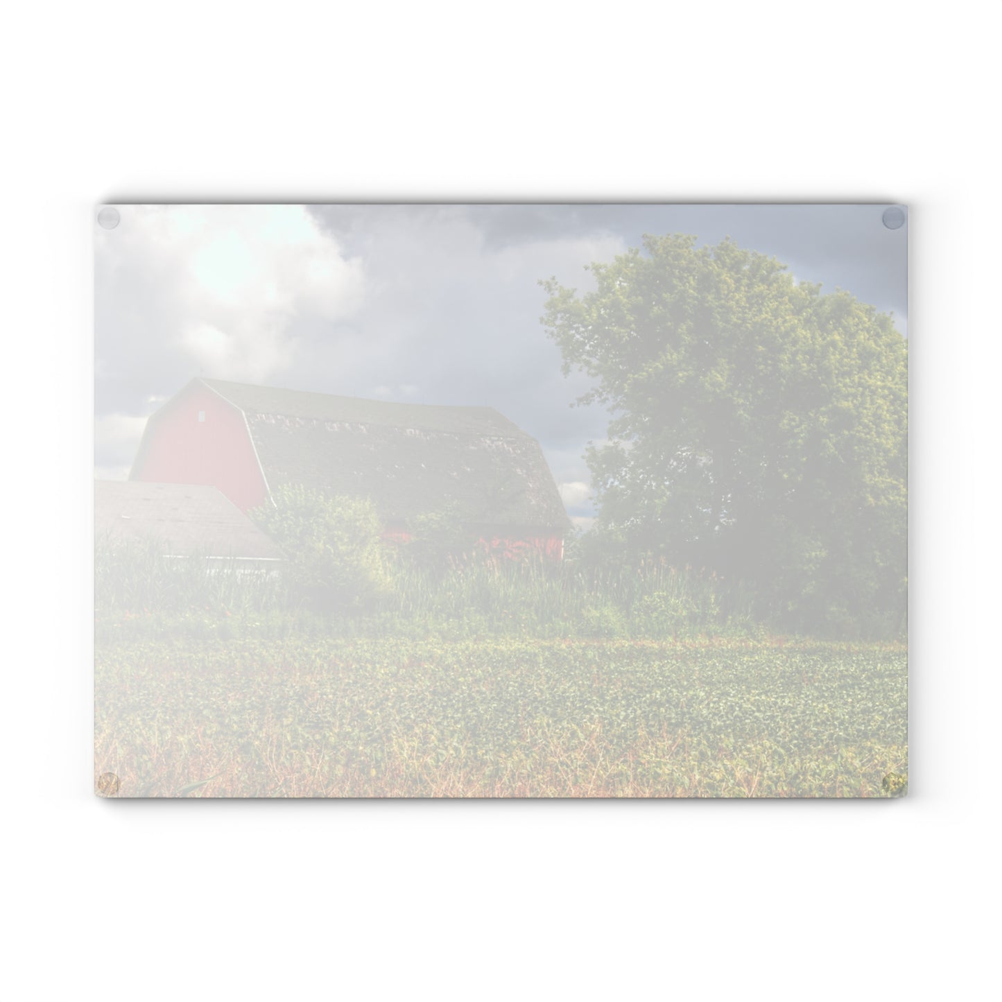 U R There Photography Shelby Red IV Rustic Farmhouse Tempered-Glass Cutting Board