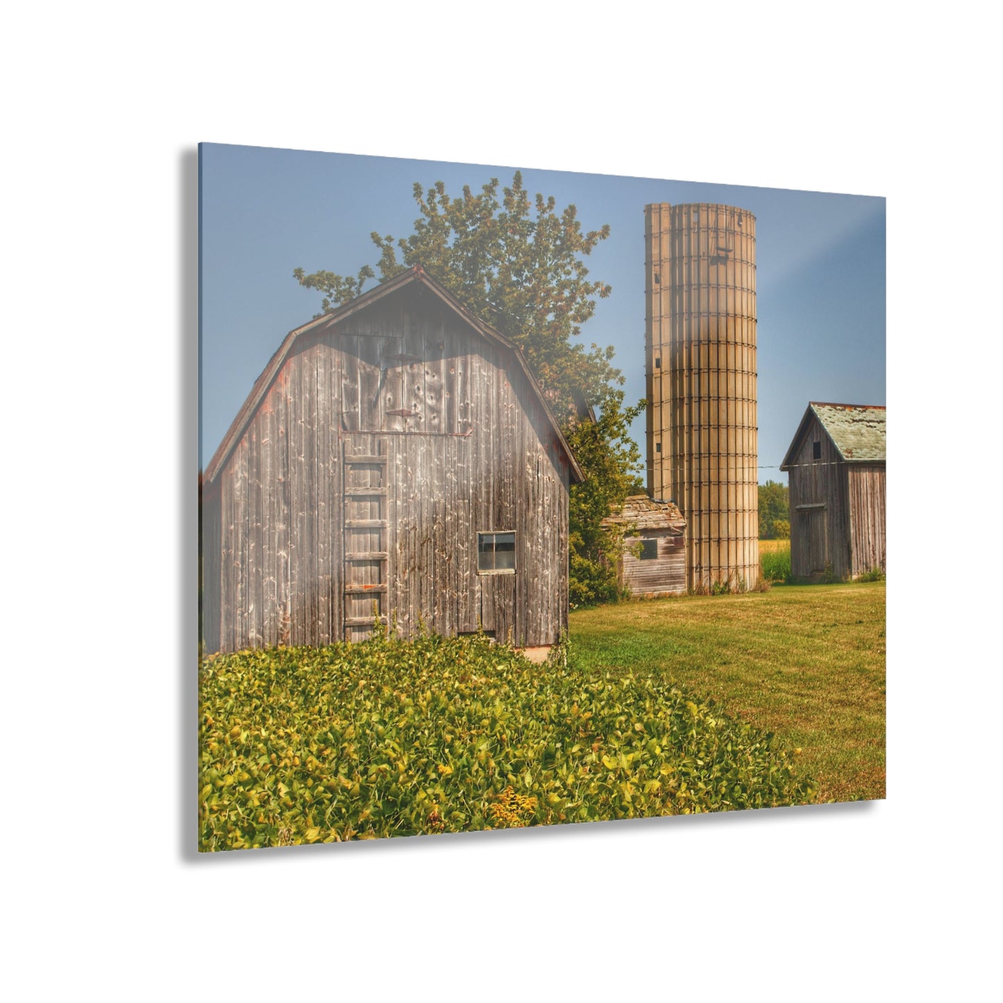 U R There Photography Swaffer Mini Greys and Silos Rustic Farmhouse Acrylic Wall Print