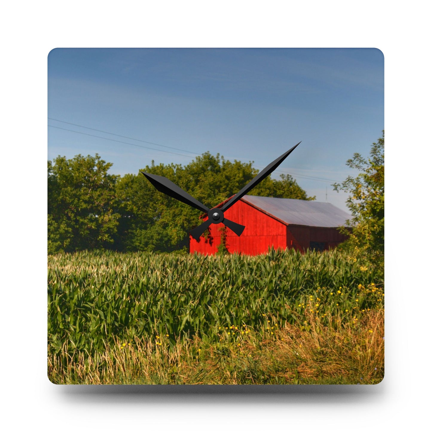 U R There Photography Willard Road Red II Rustic Farmhouse Acrylic Analog Wall Clock