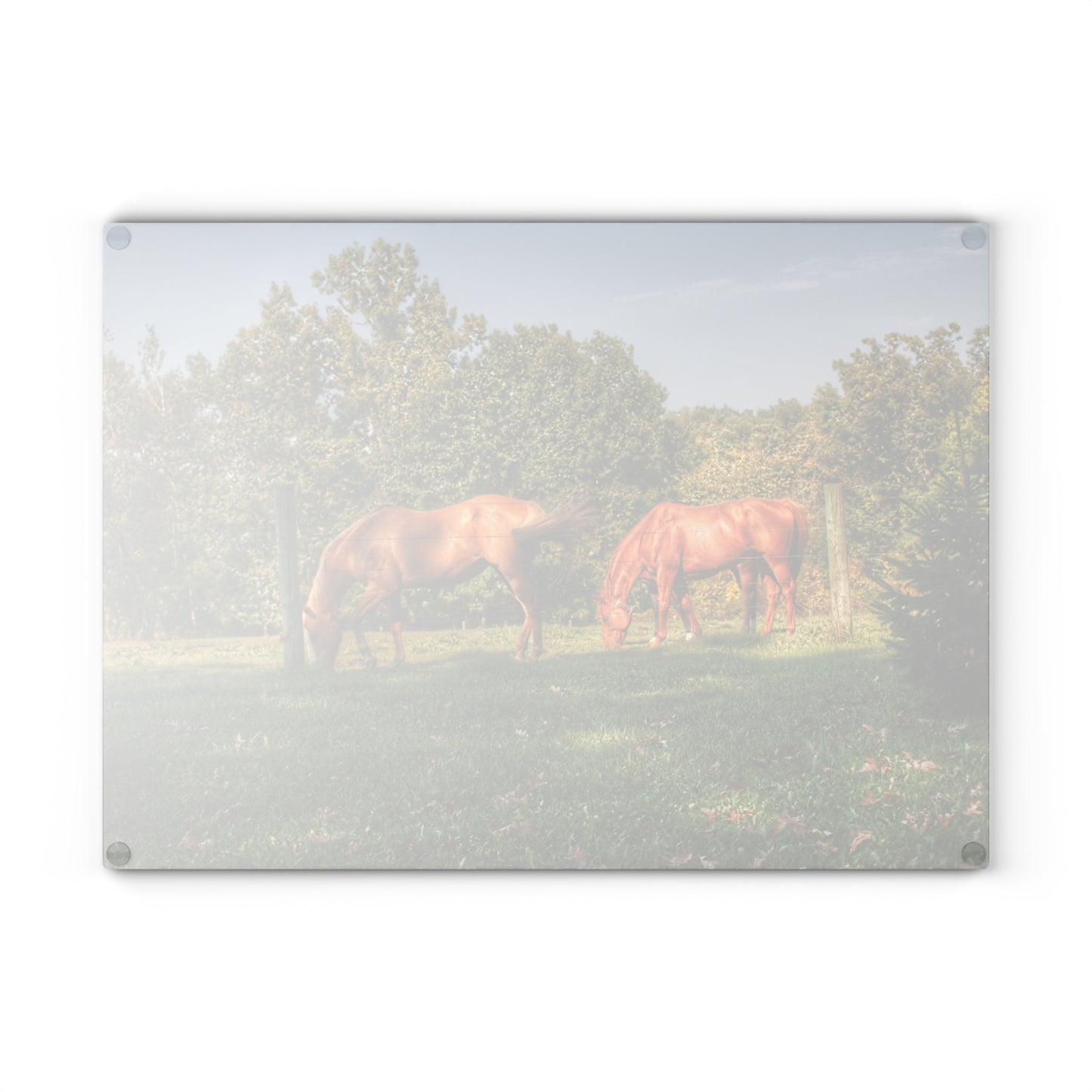 U R There Photography Caramel Horses Rustic Farmhouse Tempered-Glass Cutting Board