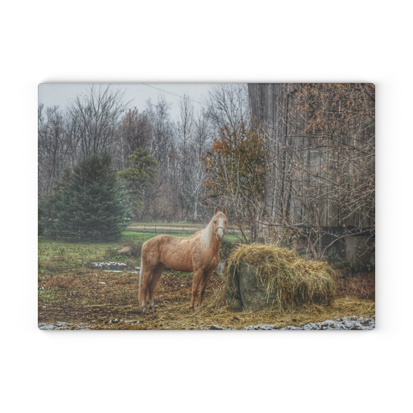U R There Photography French Road Butterscotch Rustic Farmhouse Tempered-Glass Cutting Board