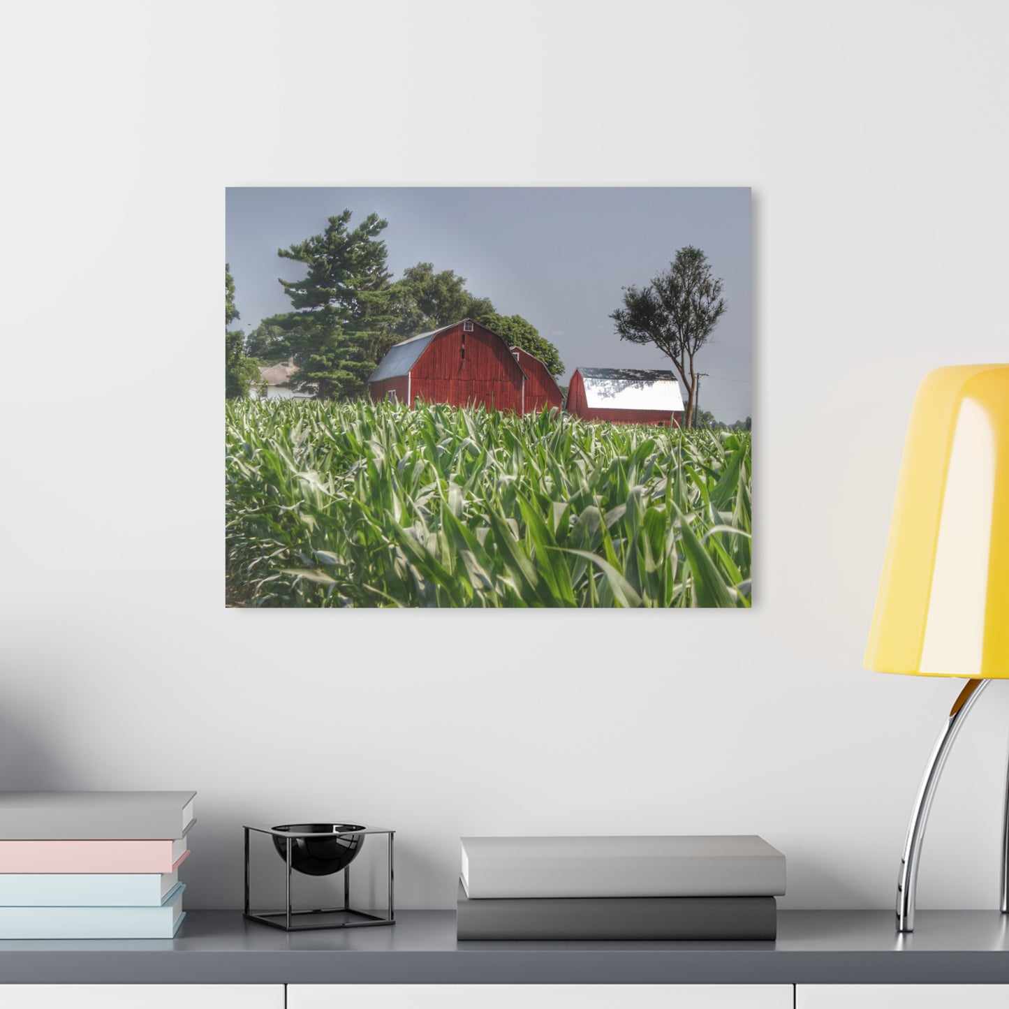 U R There Photography Shoemaker Reds Rustic Farmhouse Acrylic Wall Print
