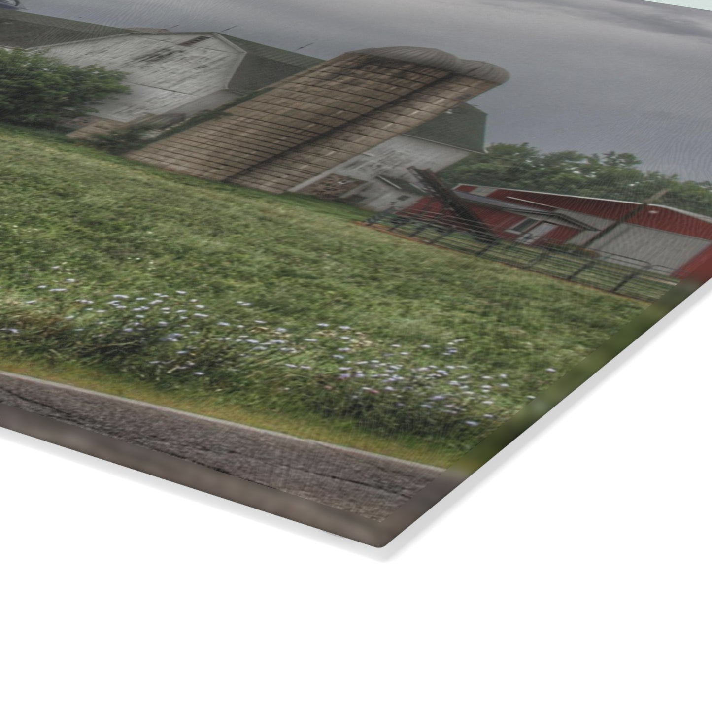U R There Photography Clark Road White II Rustic Farmhouse Tempered-Glass Cutting Board