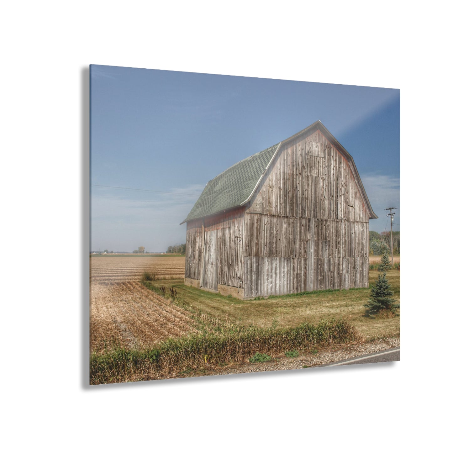 U R There Photography Vassar Road Grey Rustic Farmhouse Acrylic Wall Print