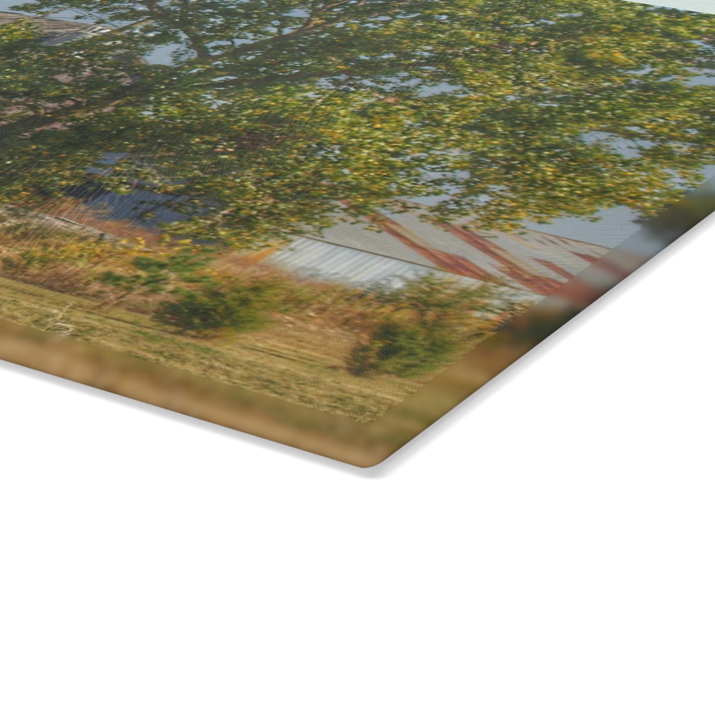 U R There Photography Barnes Road Old Grey I Rustic Farmhouse Tempered-Glass Cutting Board