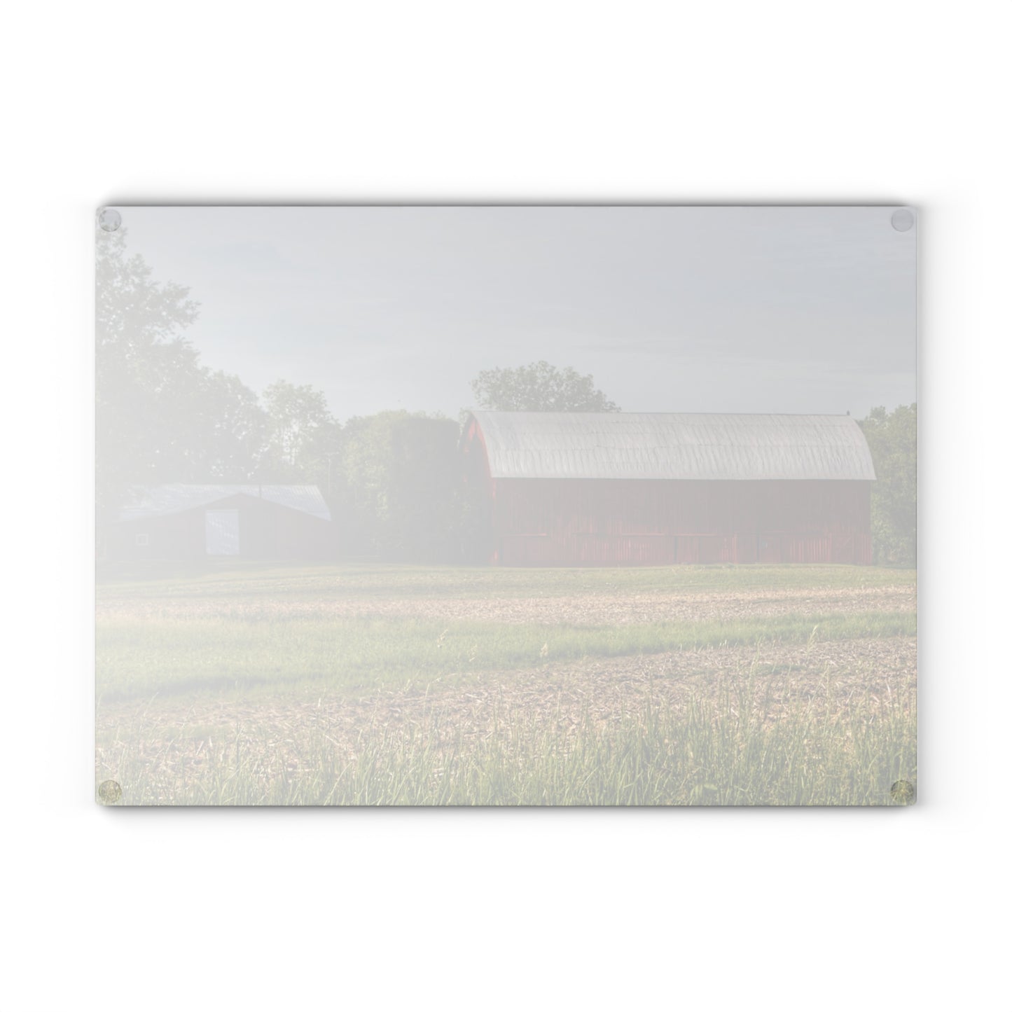U R There Photography Catlin Road Reds Rustic Farmhouse Tempered-Glass Cutting Board