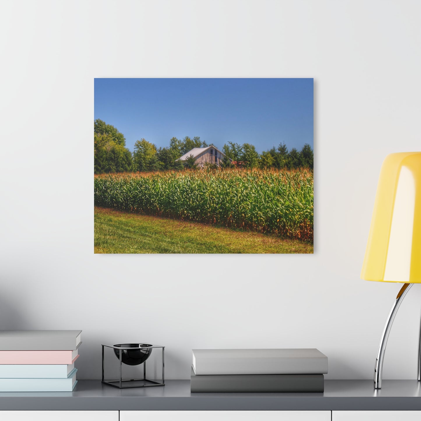U R There Photography Beyond the Corn on Birch Road Run Rustic Farmhouse Acrylic Wall Print 14 "x 11