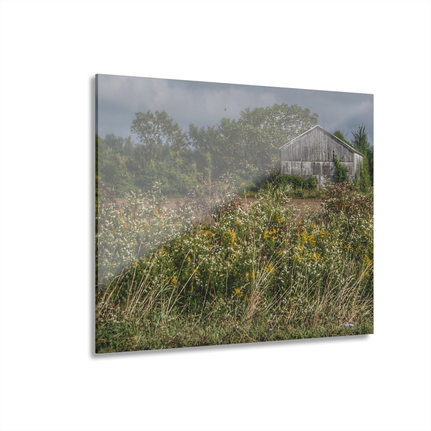 U R There Photography Almont Road Grey Rustic Farmhouse Acrylic Wall Print