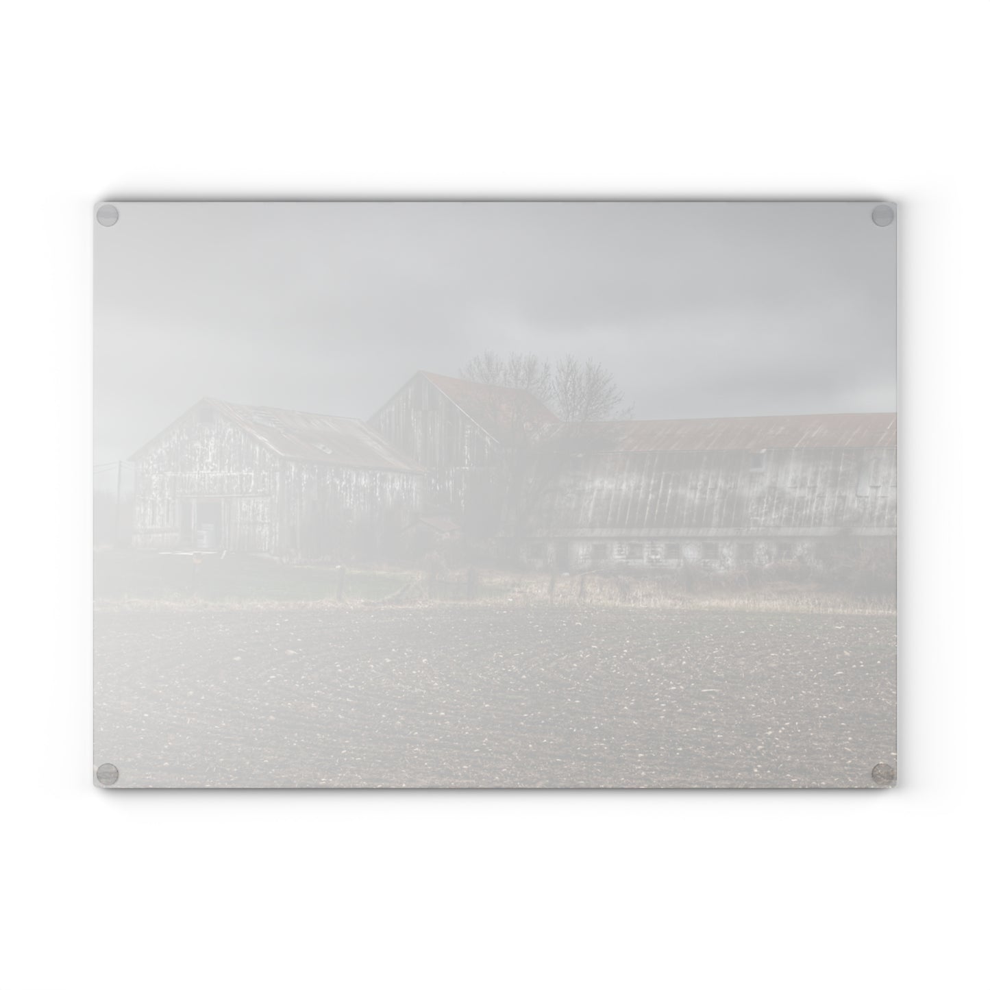 U R There Photography Rusted and Grey on Newark Road Rustic Farmhouse Tempered-Glass Cutting Board