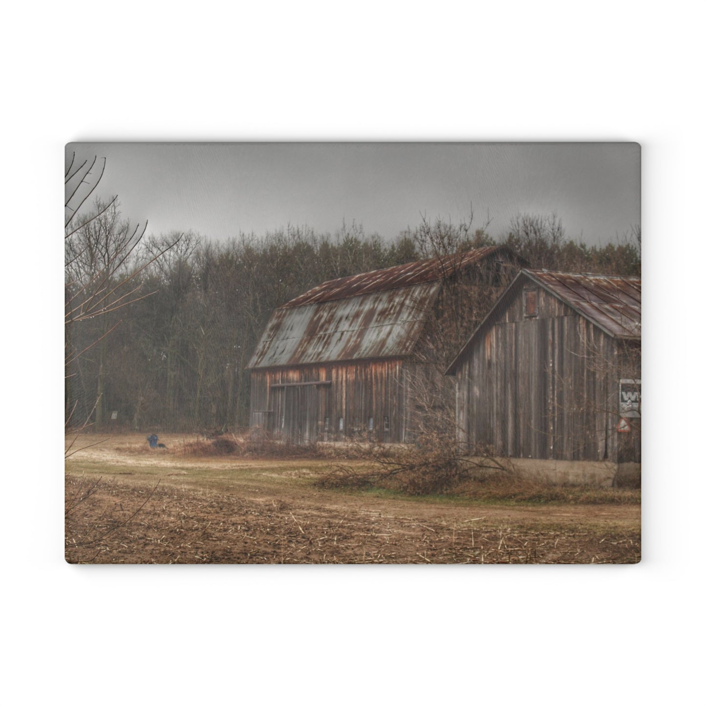 U R There Photography Arbela Road Greys Rustic Farmhouse Tempered-Glass Cutting Board