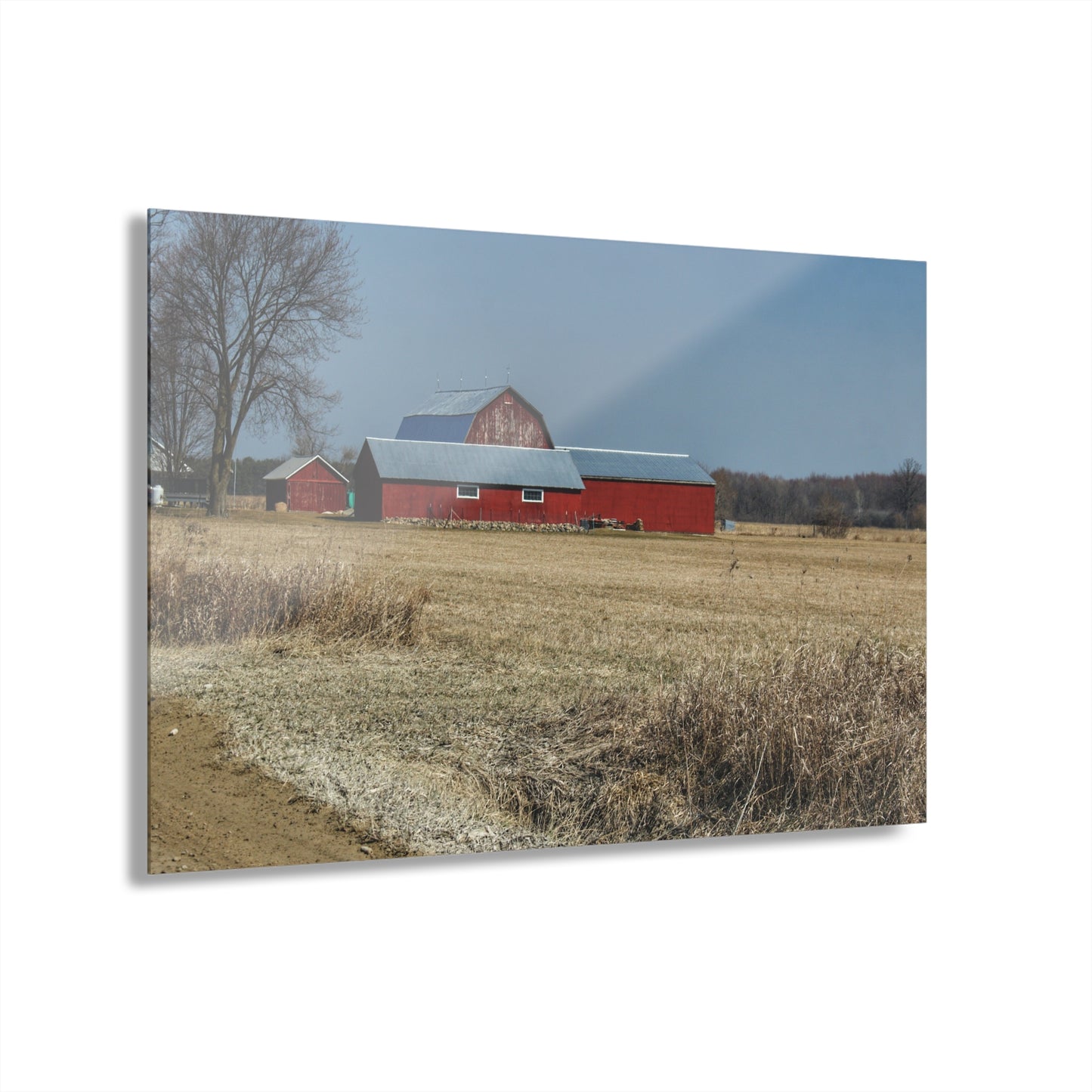 U R There Photography Romeo Plank Road Reds II Rustic Farmhouse Acrylic Wall Print