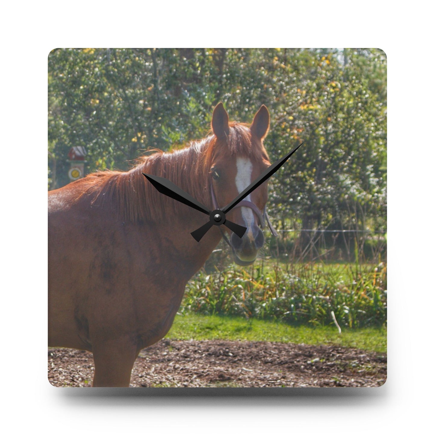 U R There Photography Froede Road Chestnut Brown Rustic Farmhouse Acrylic Analog Wall Clock