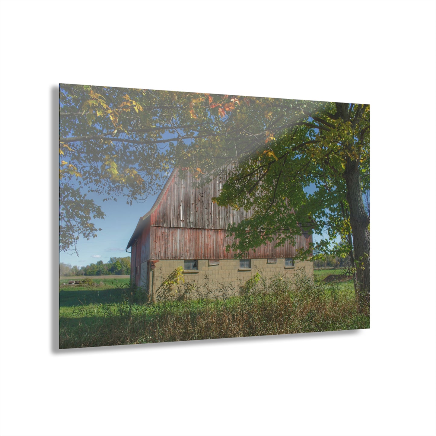 U R There Photography Byington Road Red I Rustic Farmhouse Acrylic Wall Print