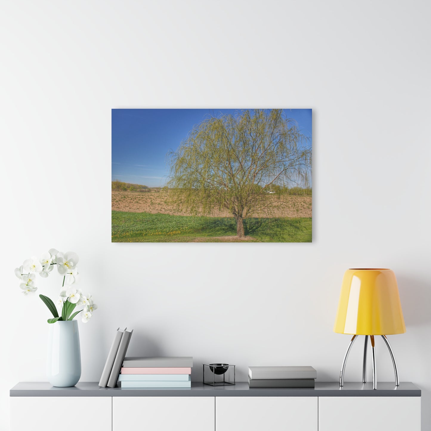 U R There Photography Spring Farm Willow Tree Rustic Farmhouse Acrylic Wall Print