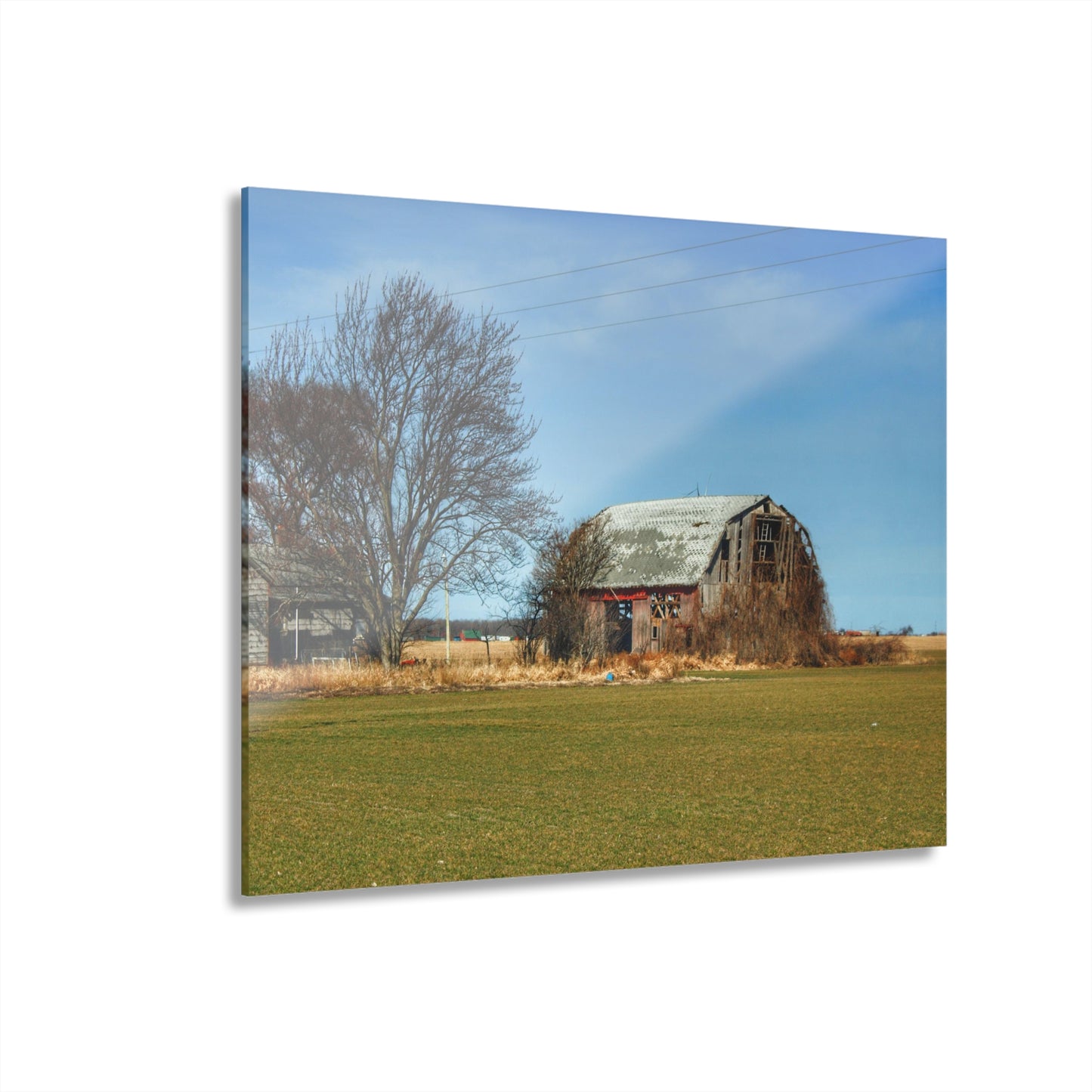 U R There Photography Bay City - Forestville Forgotten Grey Rustic Farmhouse Acrylic Wall Print