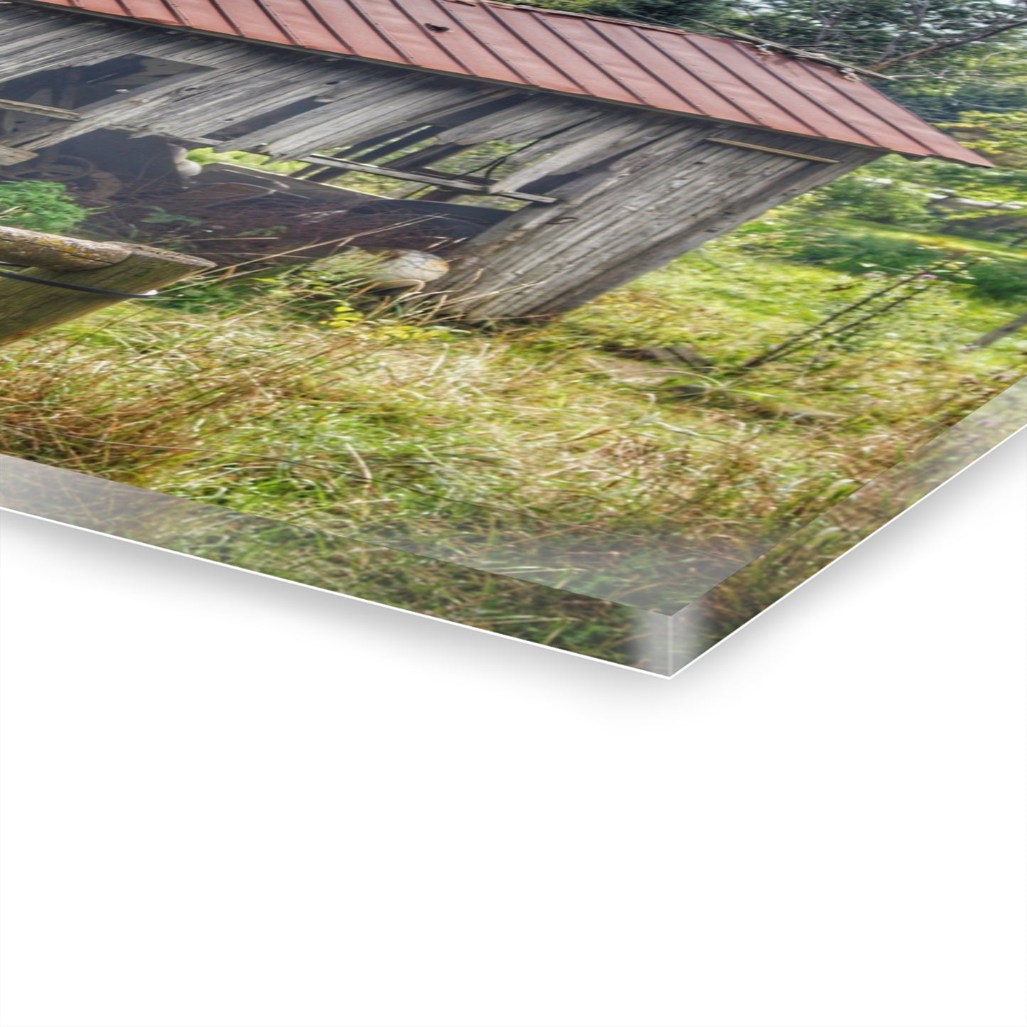 U R There Photography Silverwood Rusted Grey Shack Rustic Farmhouse Acrylic Wall Print
