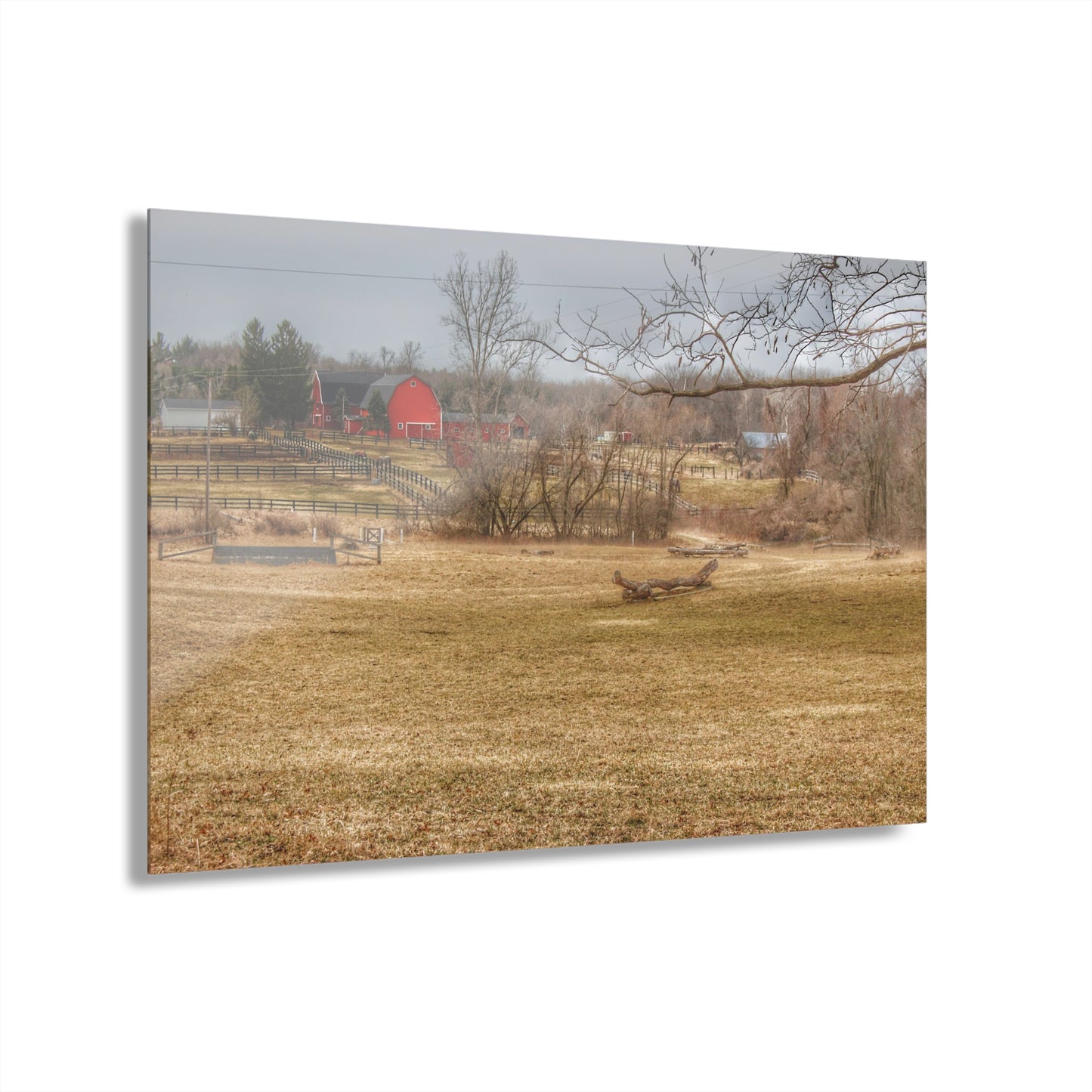 U R There Photography Beyond the Trees on Rock Valley Road Rustic Farmhouse Acrylic Wall Print