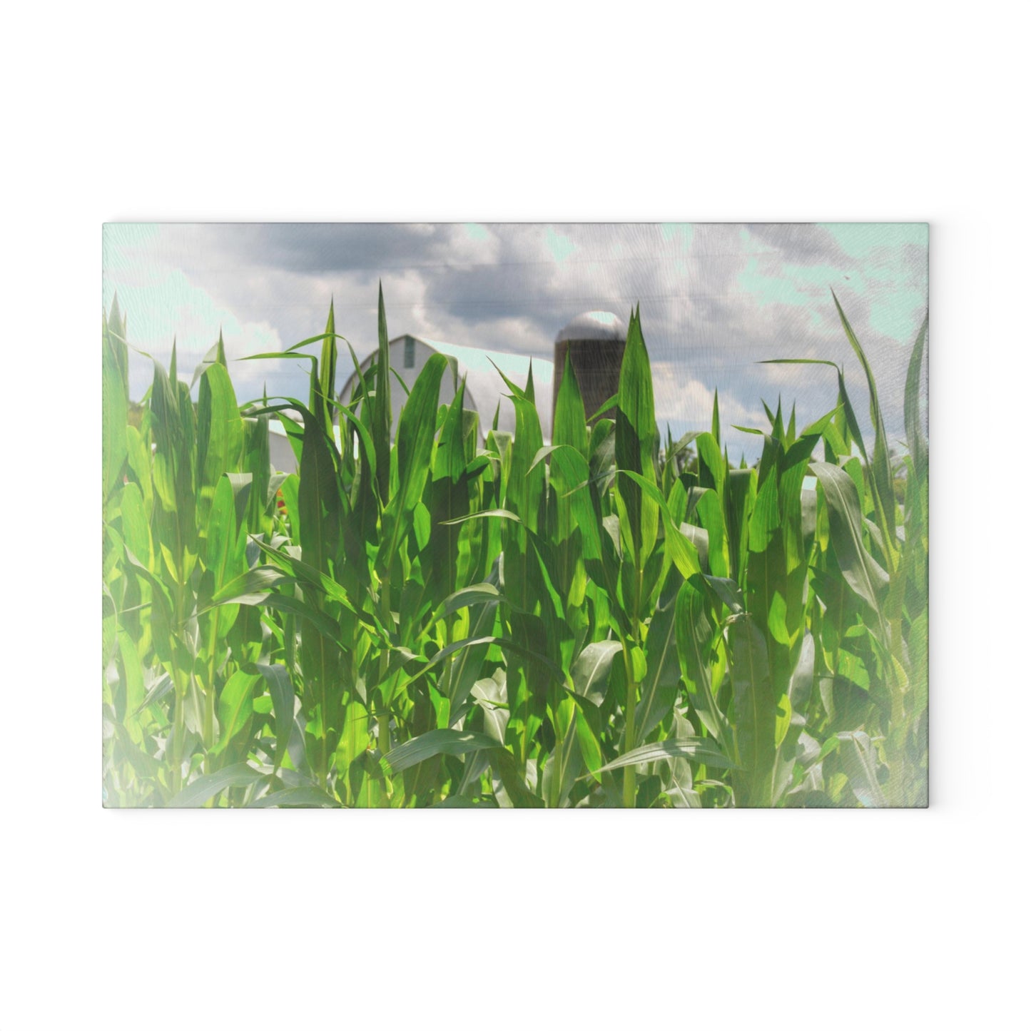 U R There Photography Beyond the Corn in Millington Rustic Farmhouse Tempered-Glass Cutting Board