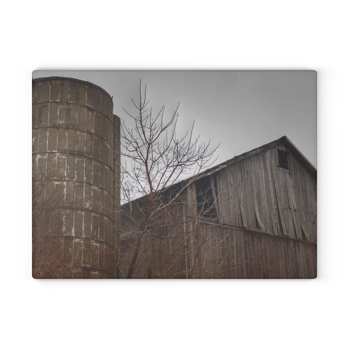 U R There Photography Brandon Hill Grey Rustic Farmhouse Tempered-Glass Cutting Board