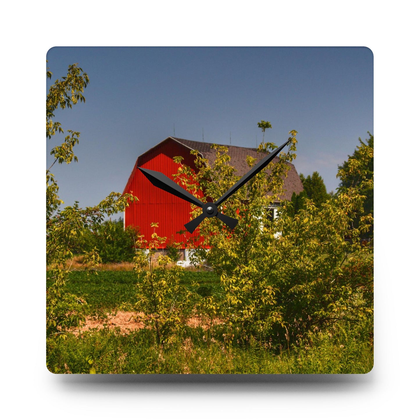 U R There Photography Beyond the Bushes Red Rustic Farmhouse Acrylic Analog Wall Clock