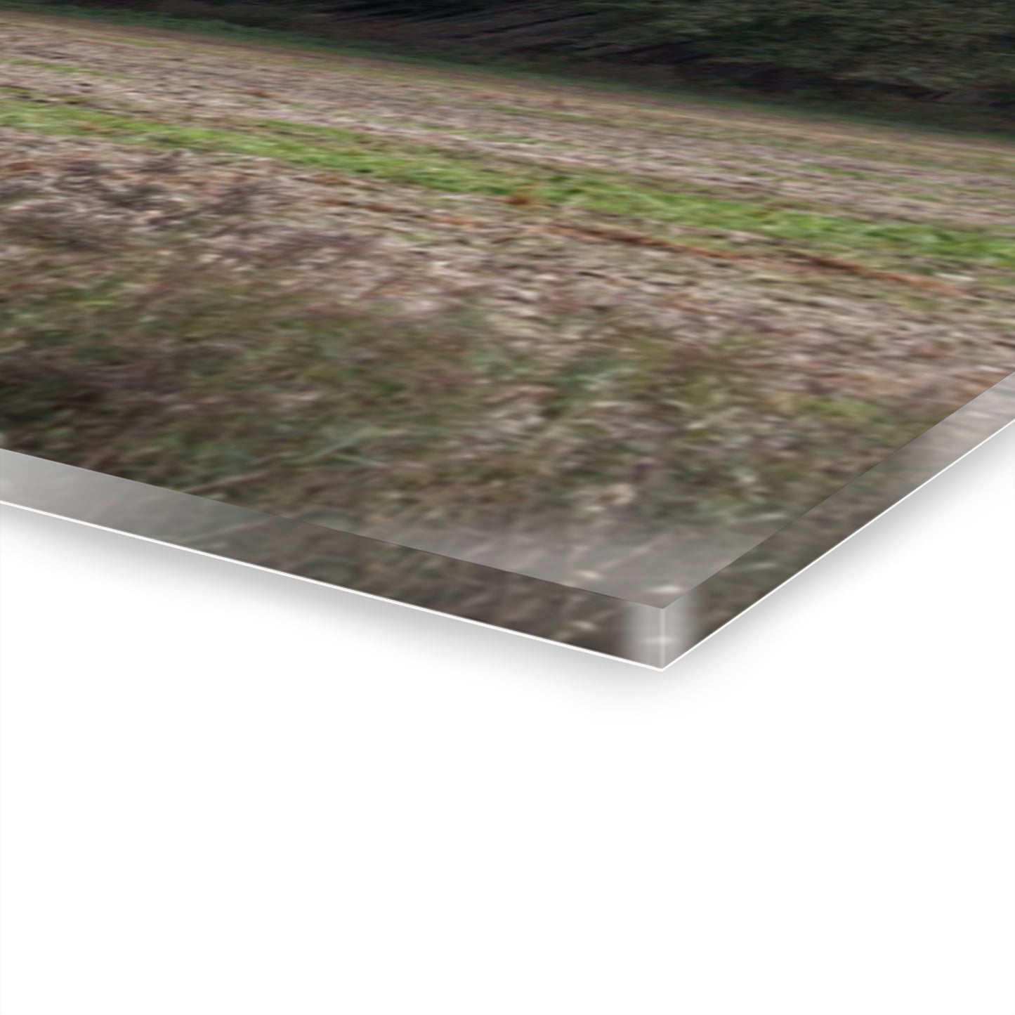 U R There Photography Burnside Road Grey I Rustic Farmhouse Acrylic Wall Print