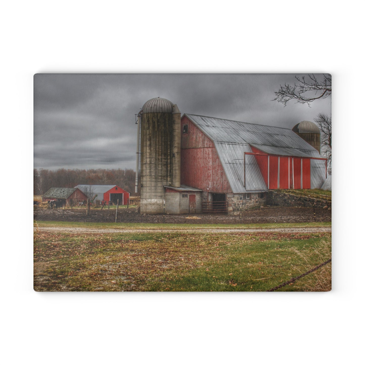 U R There Photography Slattery Roadside Red I Rustic Farmhouse Tempered-Glass Cutting Board