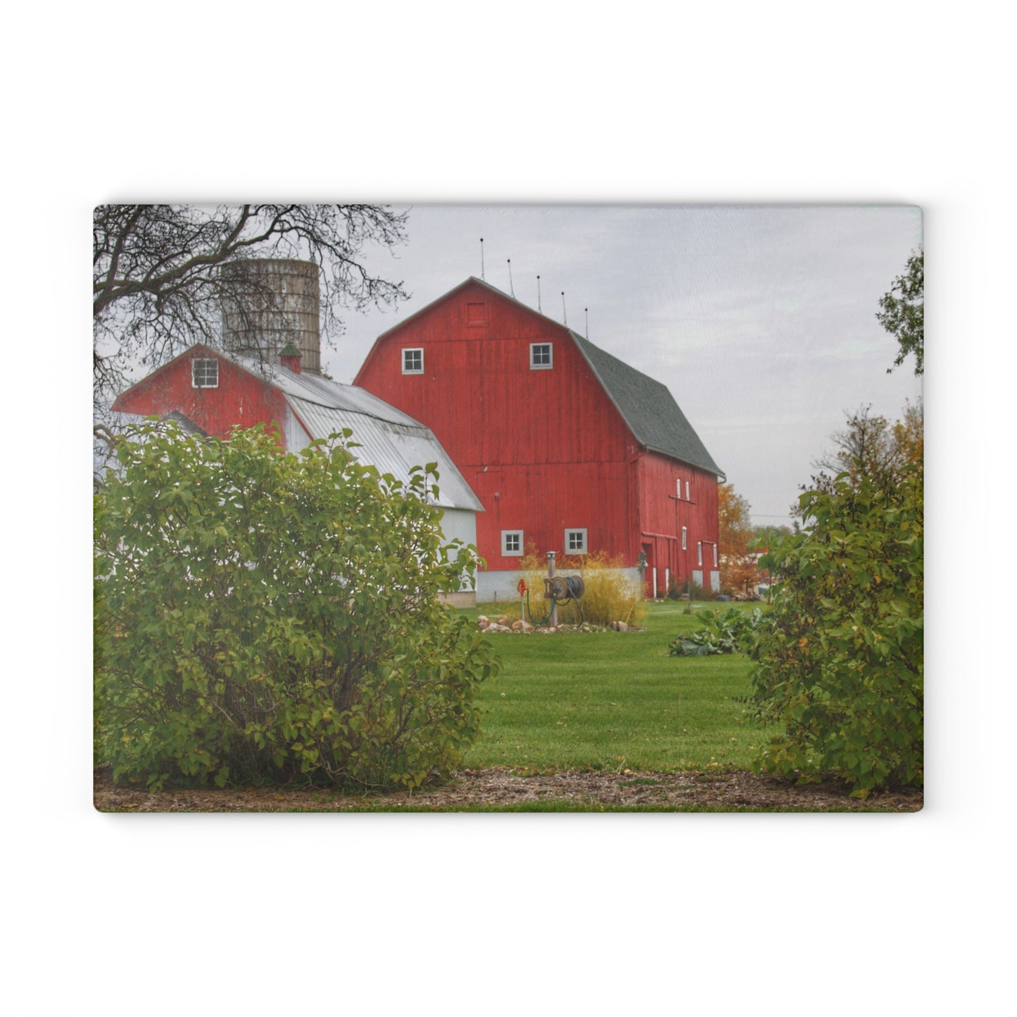 U R There Photography Potters Road Reds Rustic Farmhouse Tempered-Glass Cutting Board