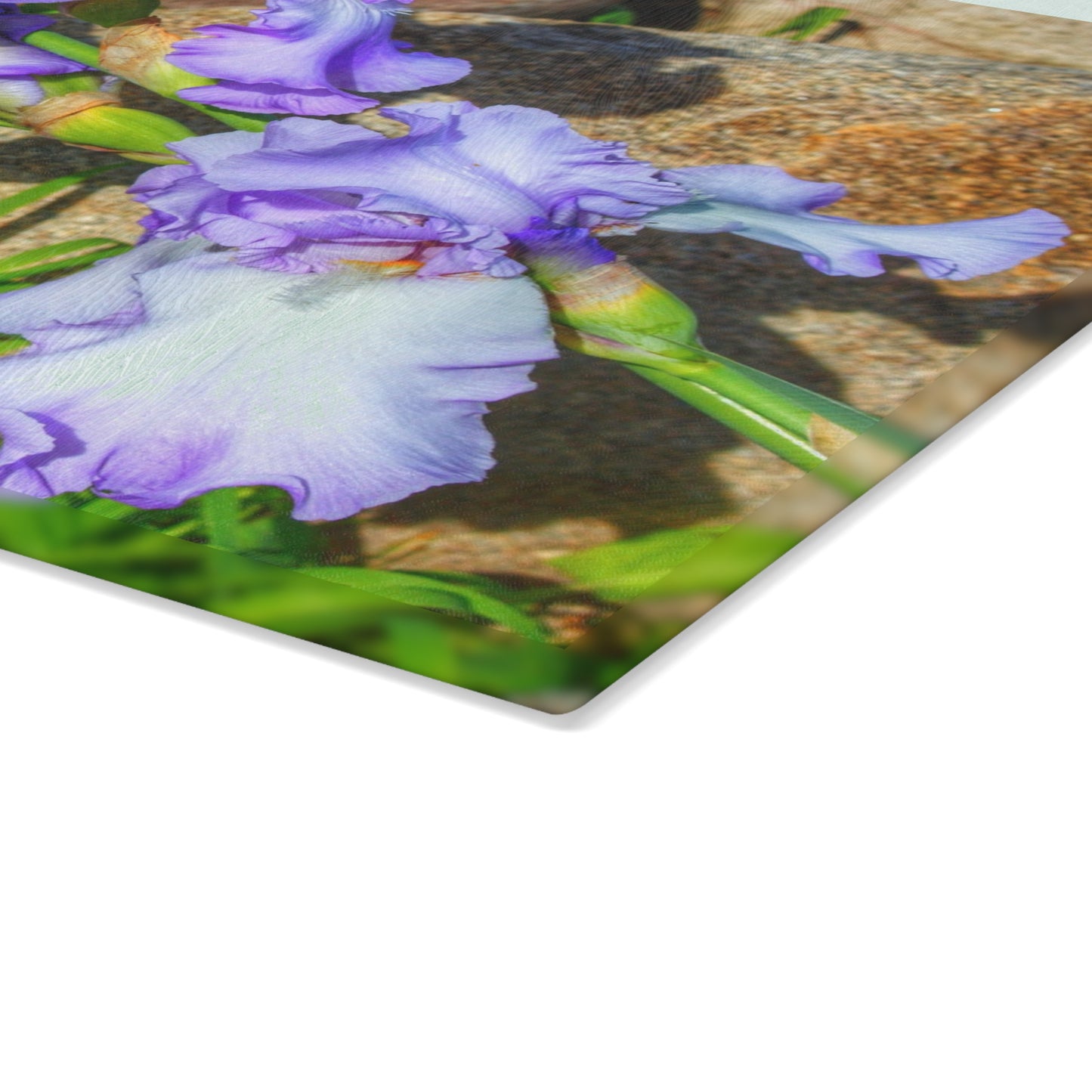 U R There Photography Saint Hugos Iris Rustic Farmhouse Tempered-Glass Cutting Board