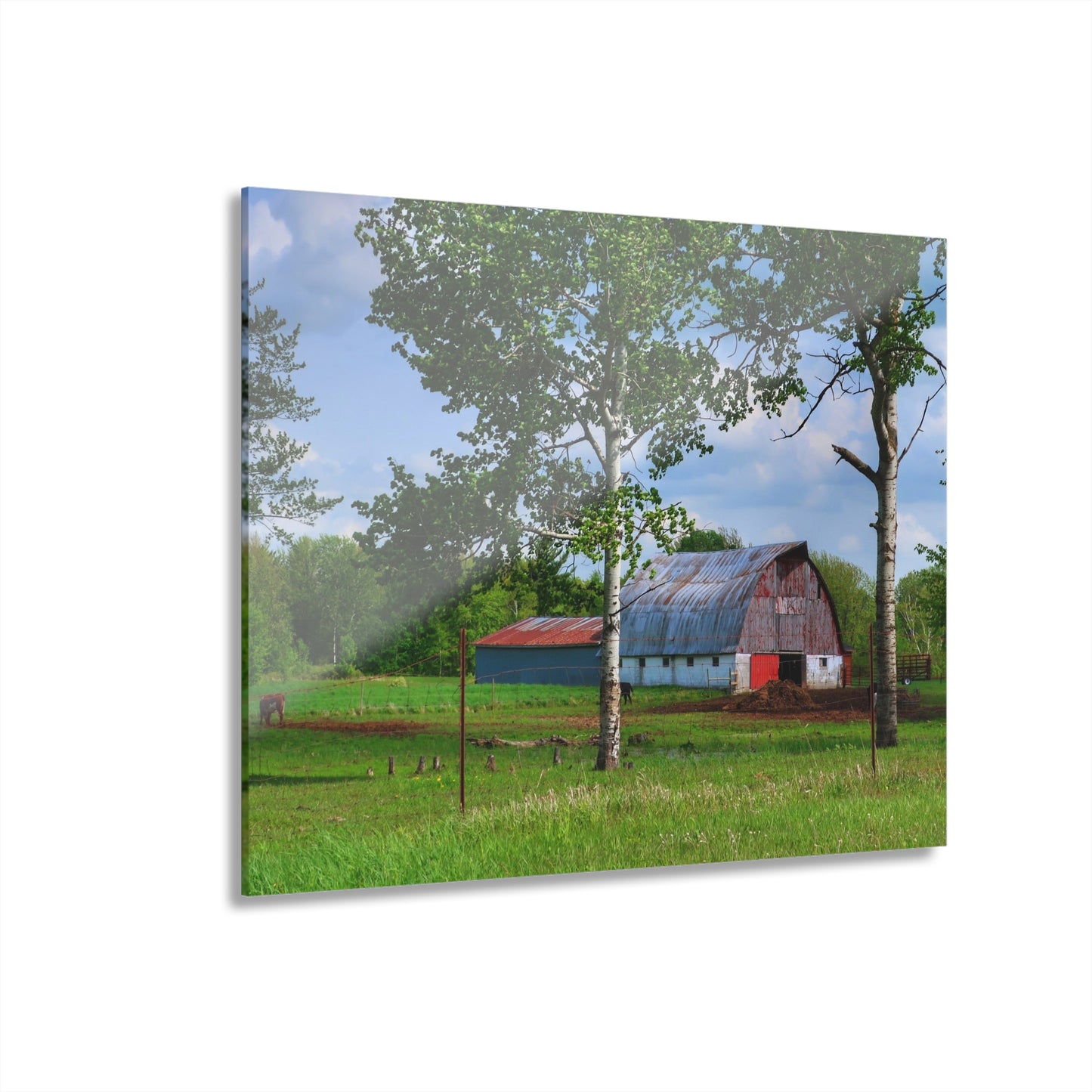 U R There Photography Shepard Road Hillman Red Rustic Farmhouse Acrylic Wall Print